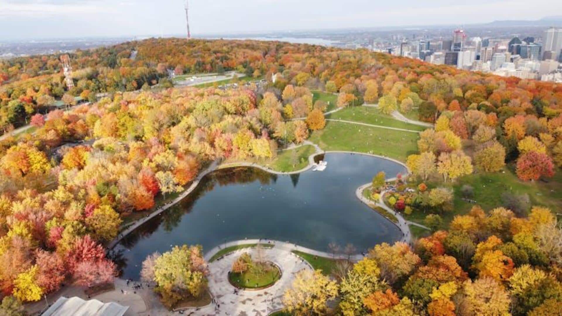 Taman Hijau di Montreal: Pelarian Sempurna untuk Ketenangan