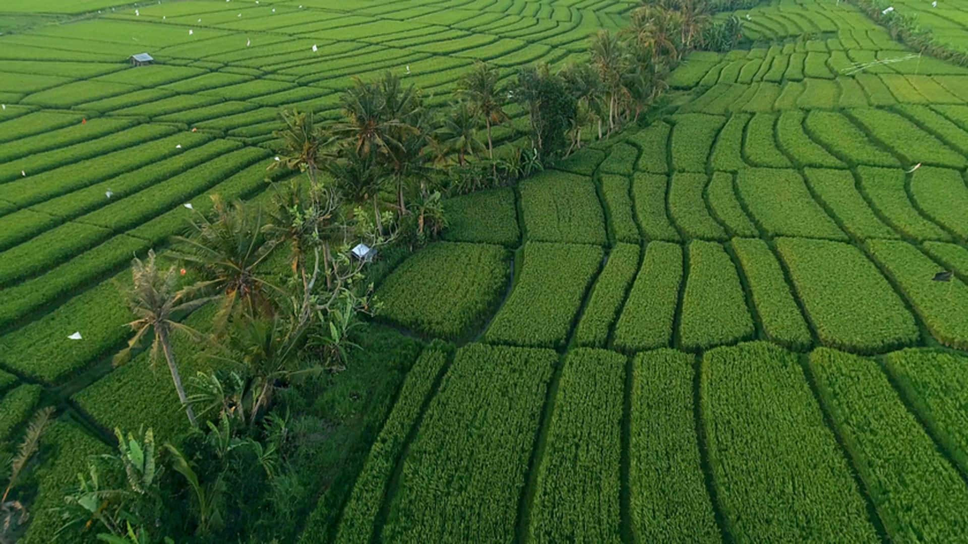 Terobosan Teknologi Iklim dari Indonesia