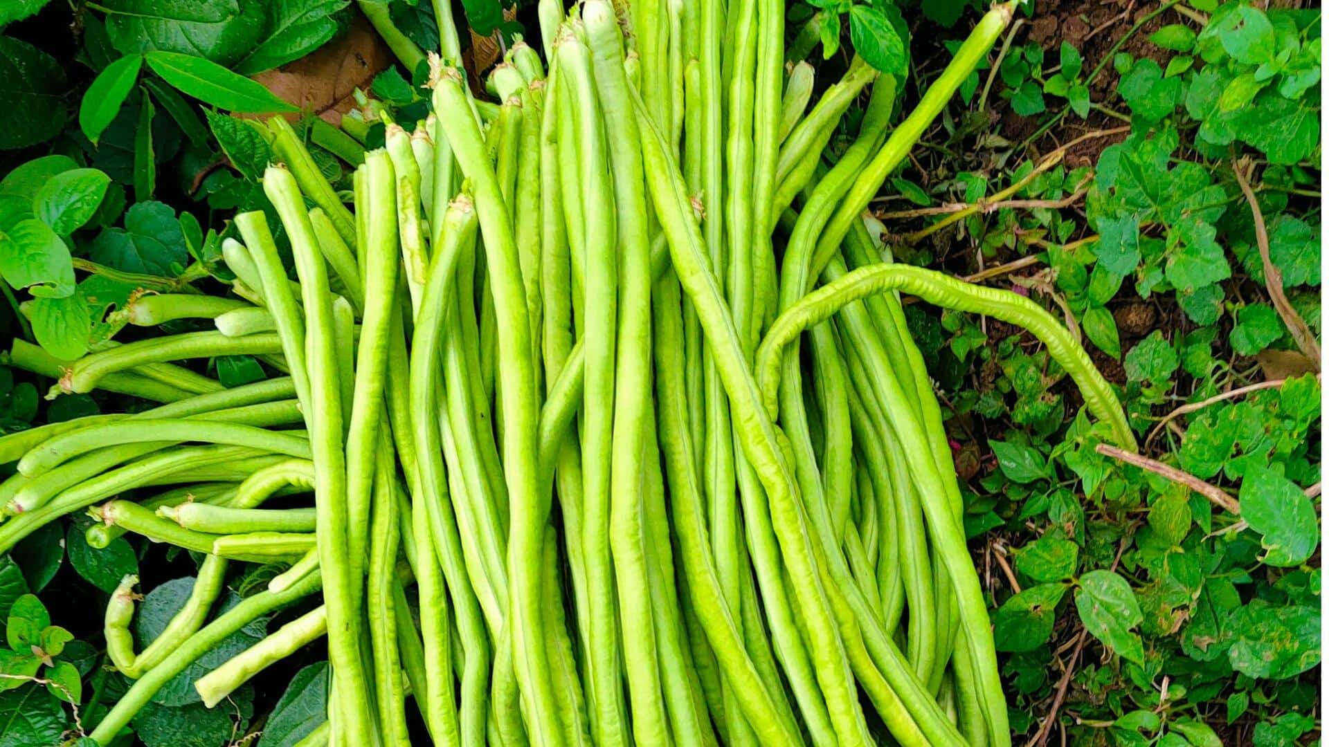 Manfaat Kacang Panjang untuk Kesehatan Kulit