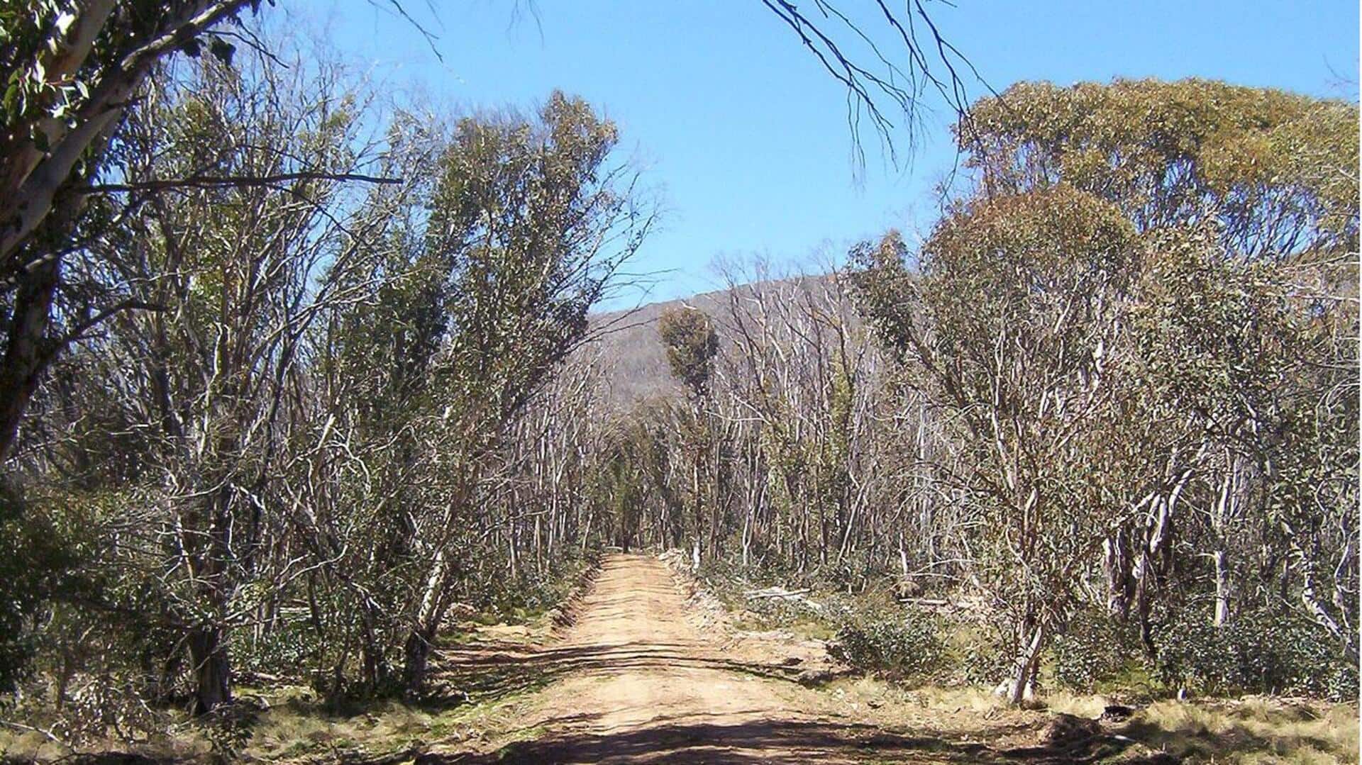 Menjajal Rute-Rute Tersembunyi di Pedalaman Australia
