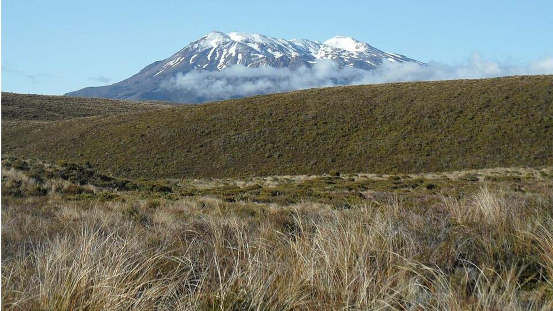 Mengagumi Keajaiban Geotermal Selandia Baru dengan Mendaki