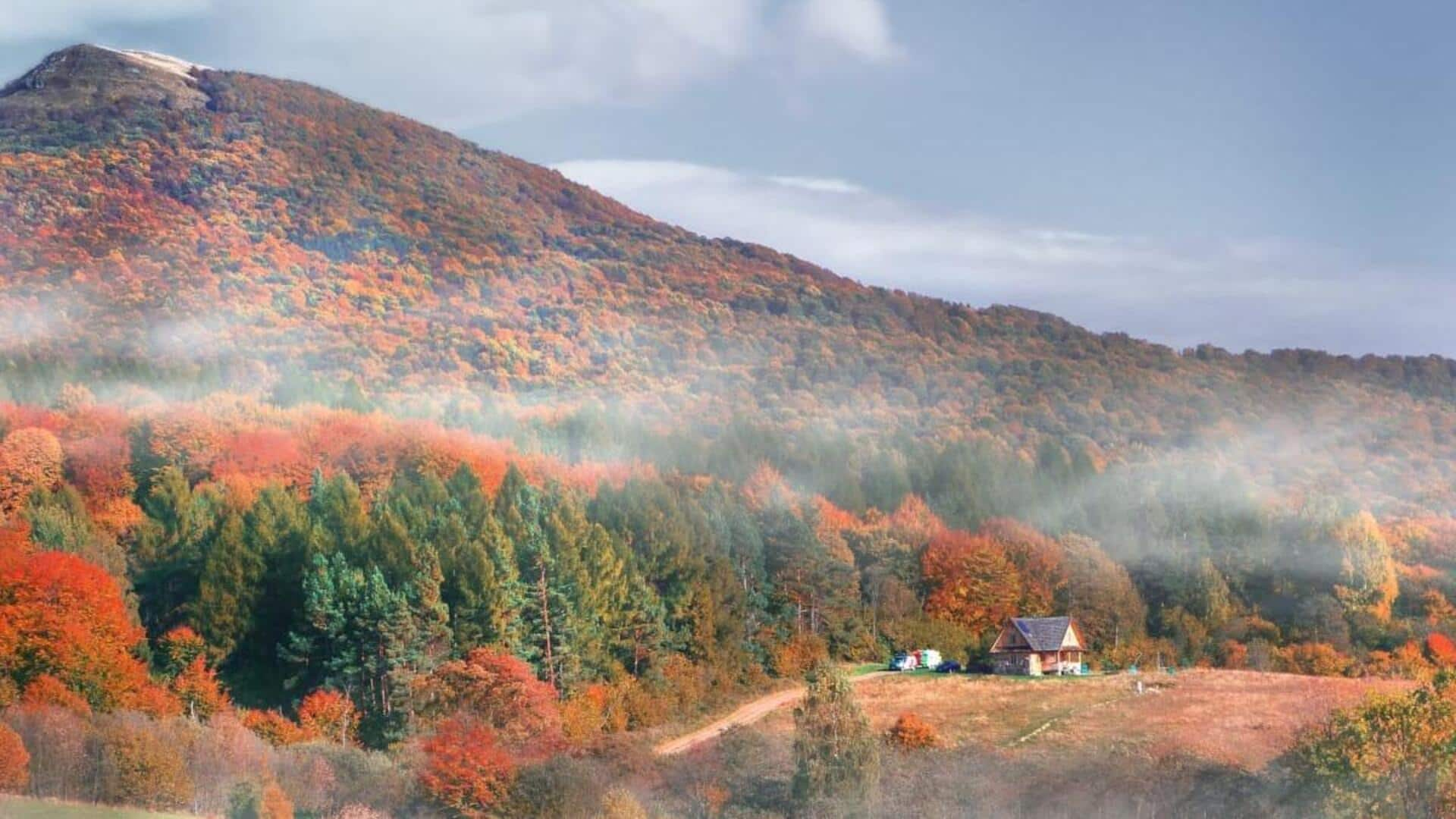 Menjelajahi Keindahan Pegunungan Bieszczady, Polandia