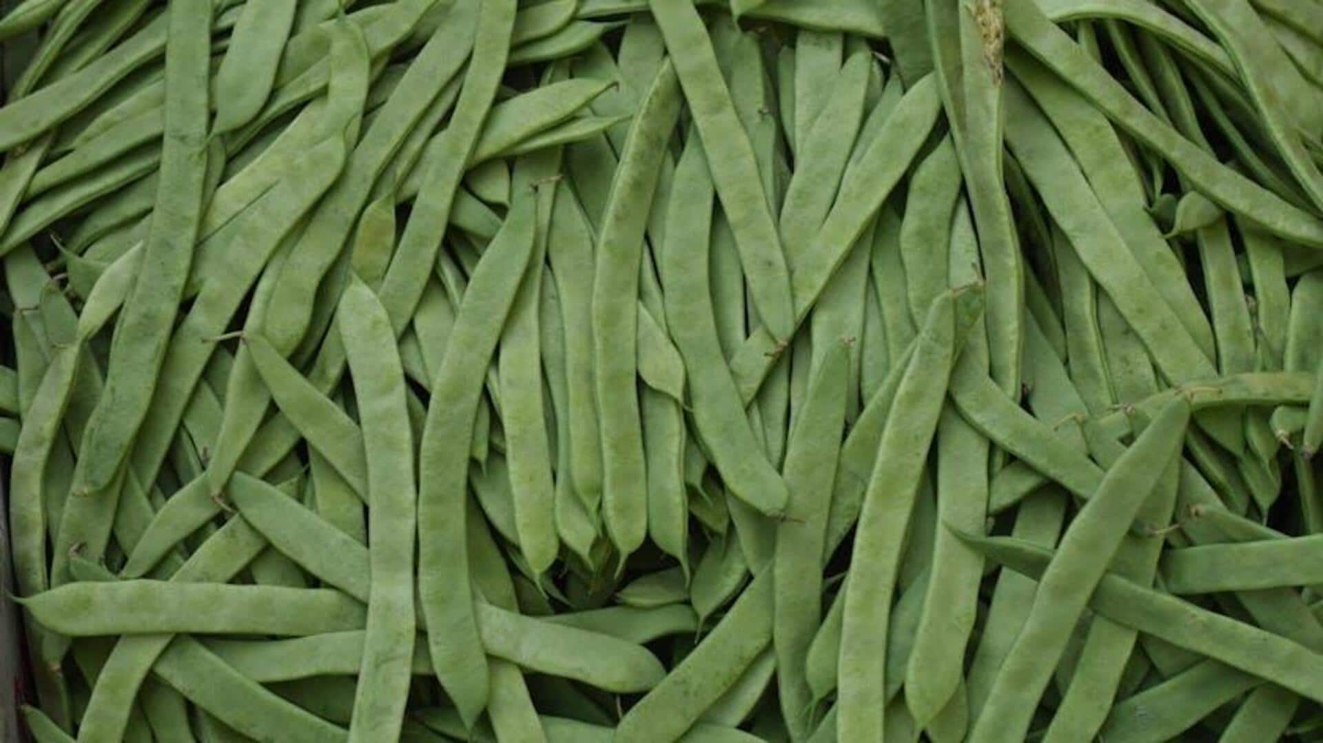 Peran Kacang Panjat dalam Pengendalian Hama Kebun