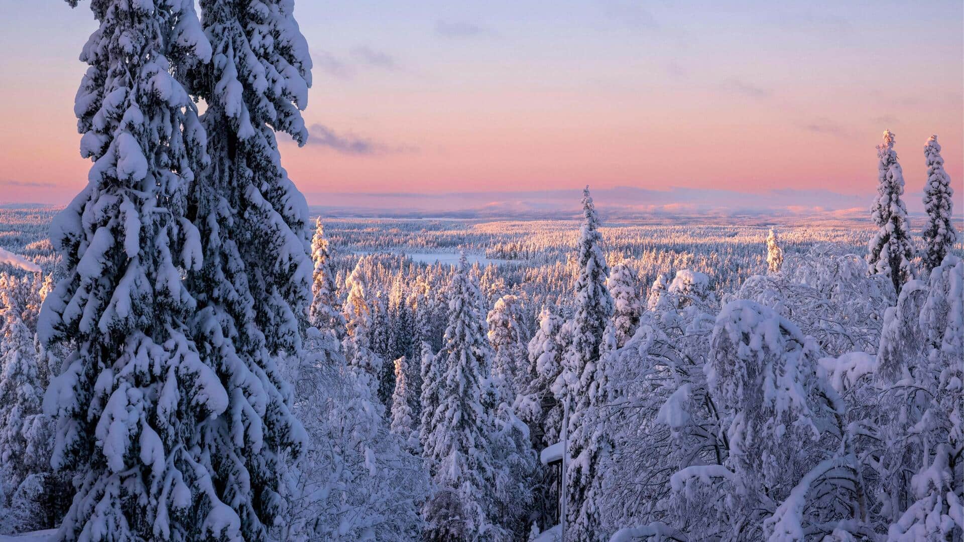 Menjelajahi Hutan Musim Dingin Finlandia yang Tenang Menjelajahi Hutan Musim Dingin Finlandia yang Tenang