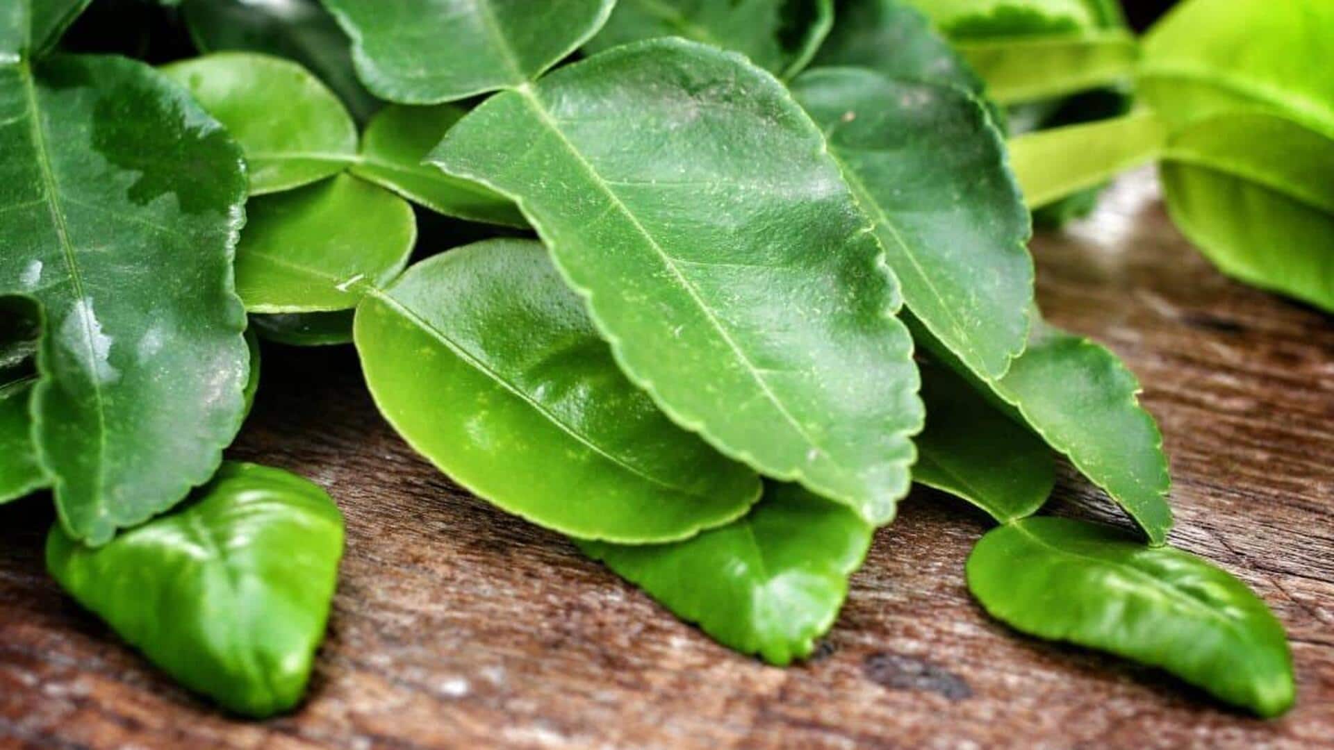 Daun Lemon: Rahasia Kuliner yang Wajib Dicoba