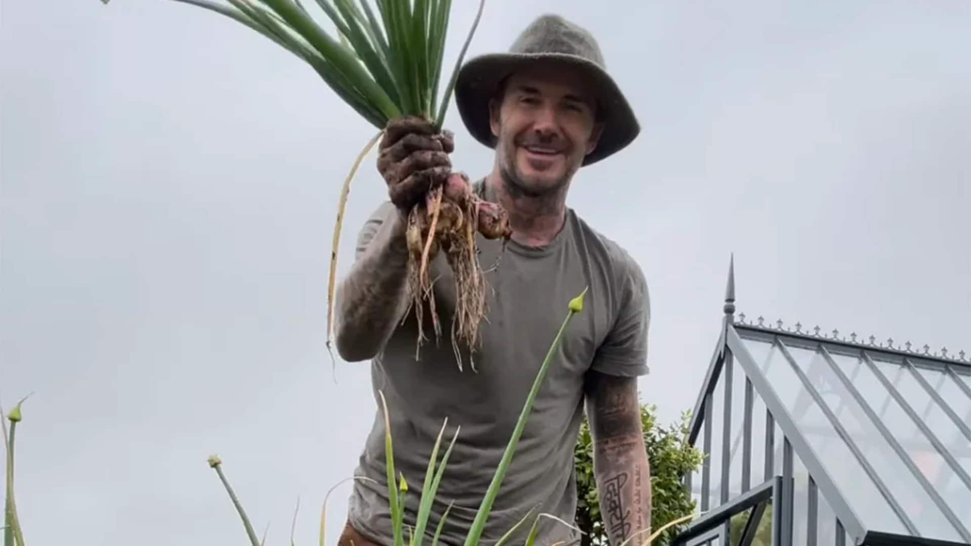 Ikon Hollywood dan hobi tak terduga mereka