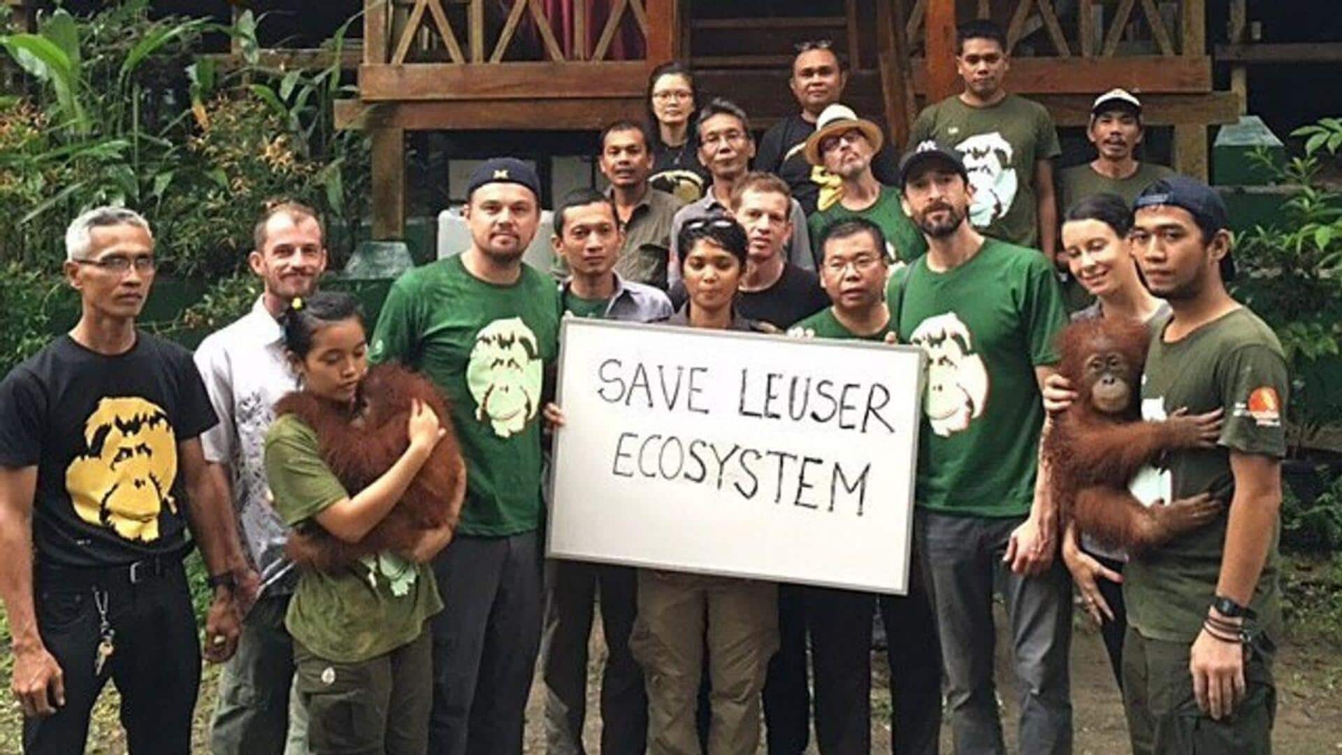 Aktor Hollywood dan dampaknya pada kebijakan lingkungan global