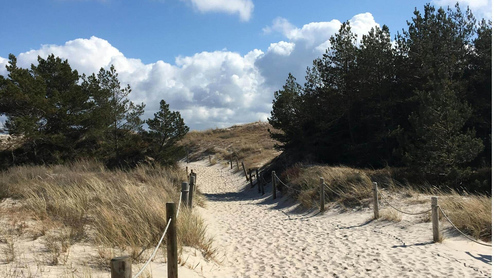Lima Dataran Tinggi Pasir Polandia yang Menakjubkan