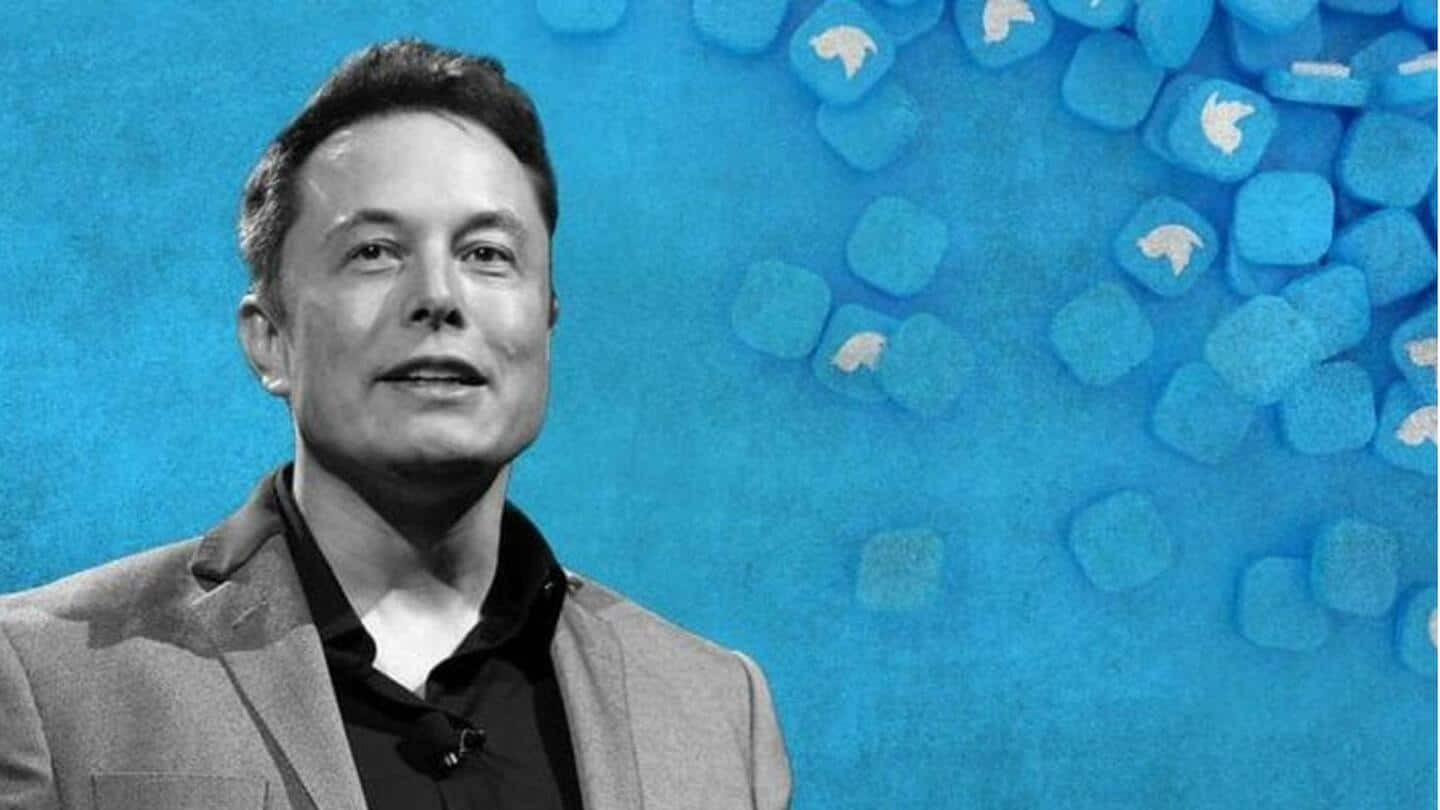 Musk umumrkan fitur baru Twitter: 10 ribu karakter, enkripsi, reaksi emoji