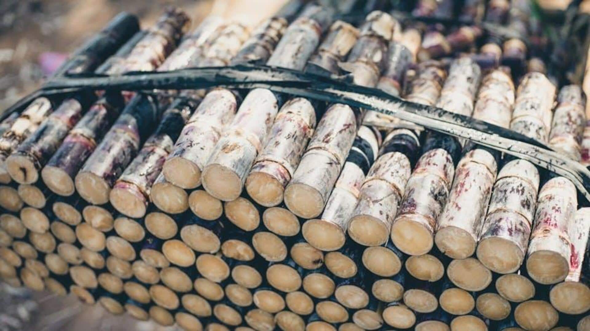 Plastik Biodegradable dari Tebu: Revolusi Hijau