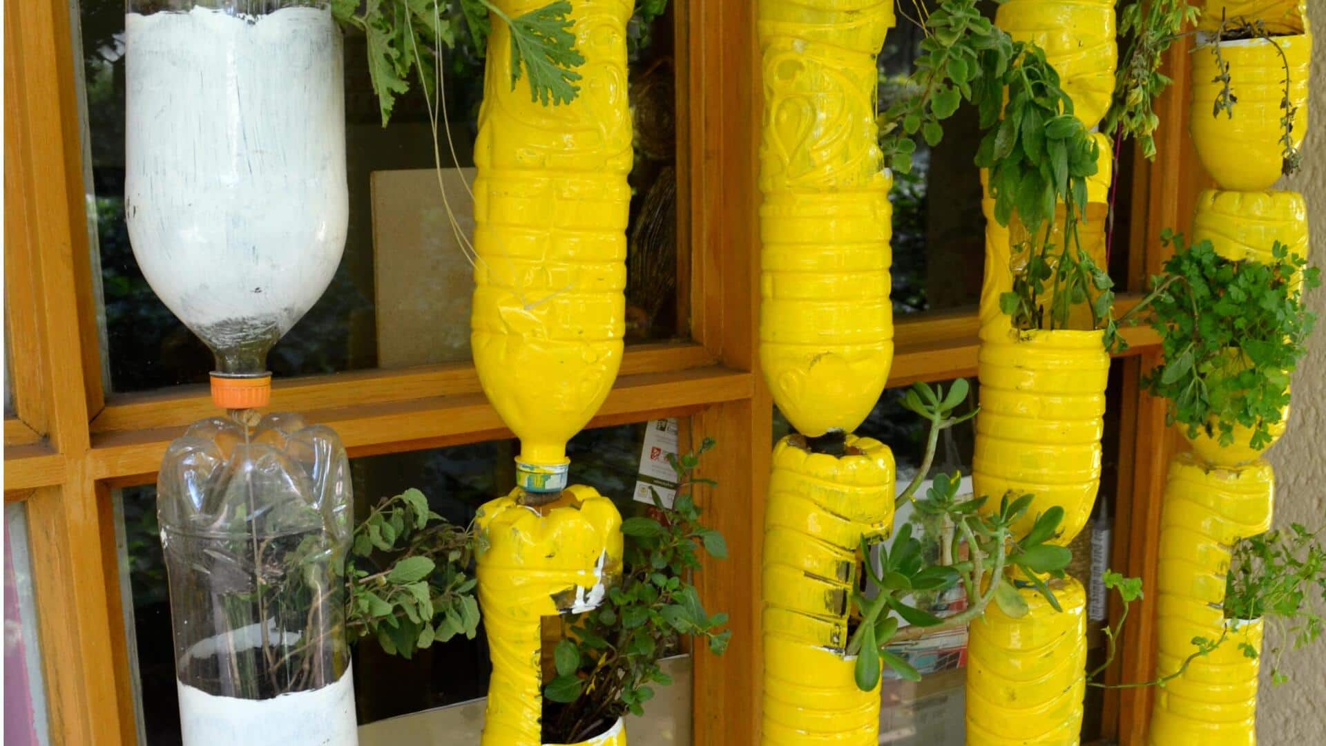 Membuat pot tanaman dekoratif dari botol plastik daur ulang