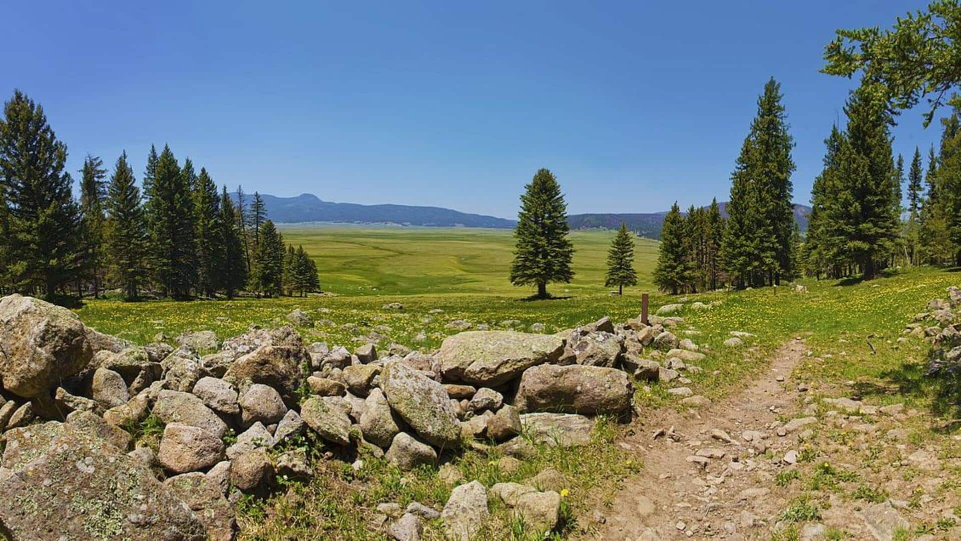 Menelusuri Surga Tersembunyi di Valles Caldera, New Mexico, AS