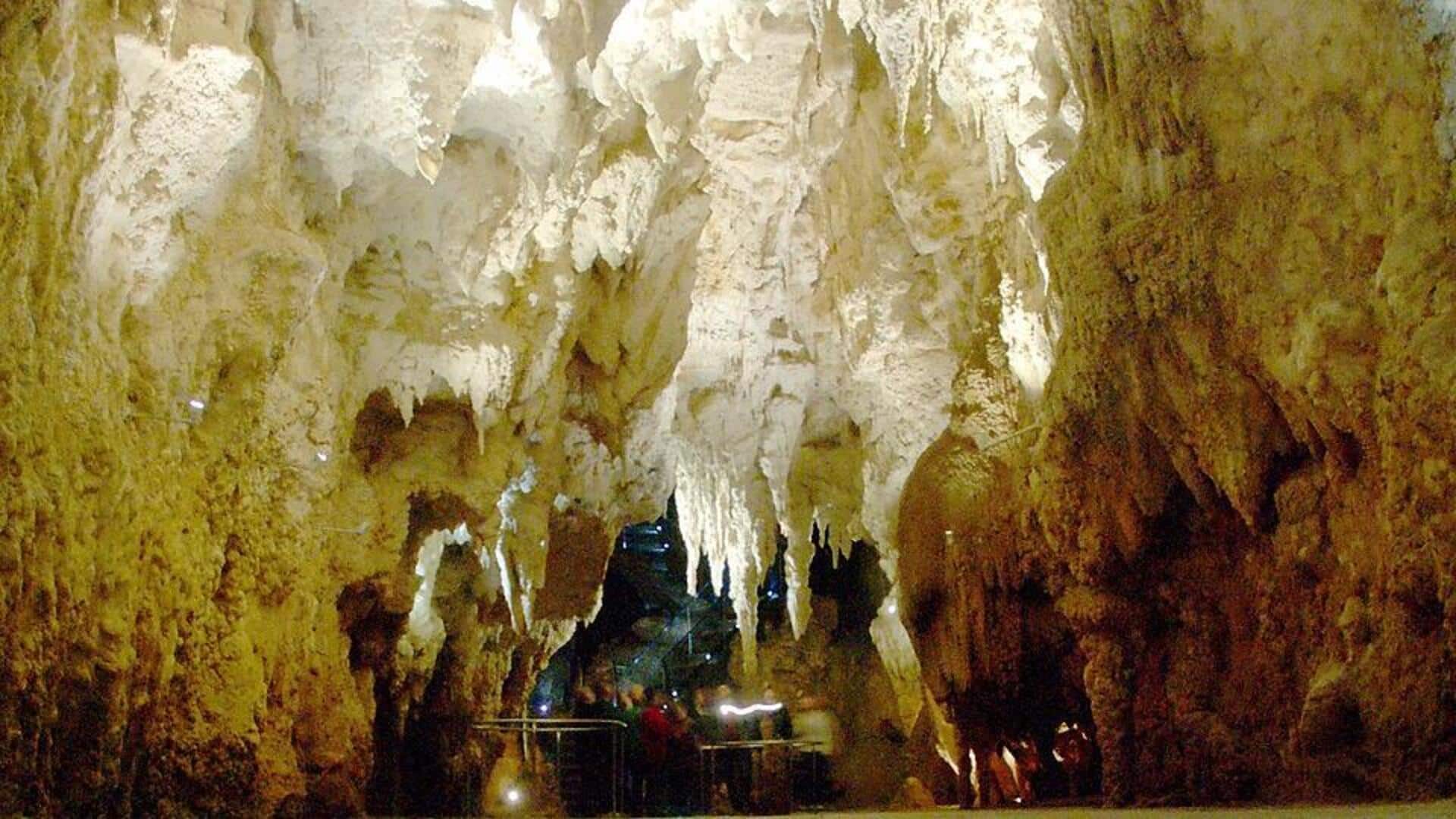 Lima Gua Cacing Pendar Terbaik di Australia