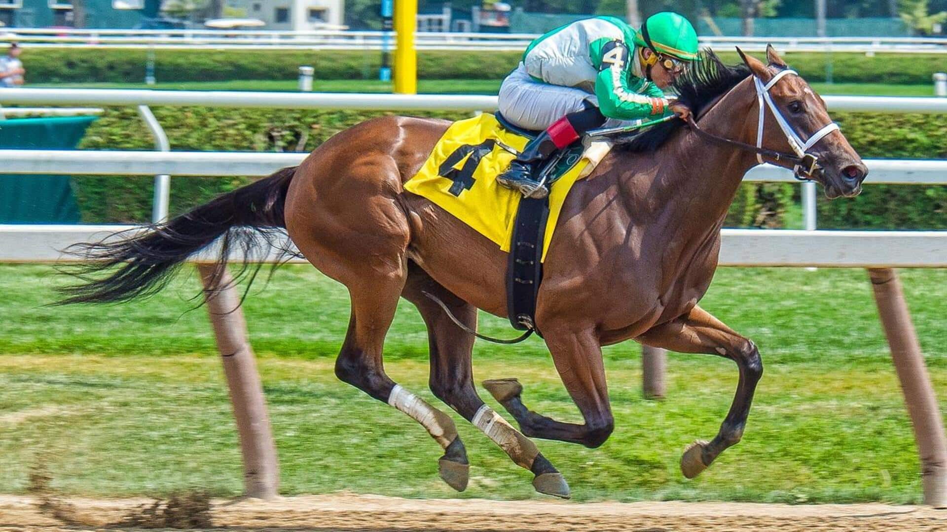 Mengapa kuda pacu diberi nama unik?