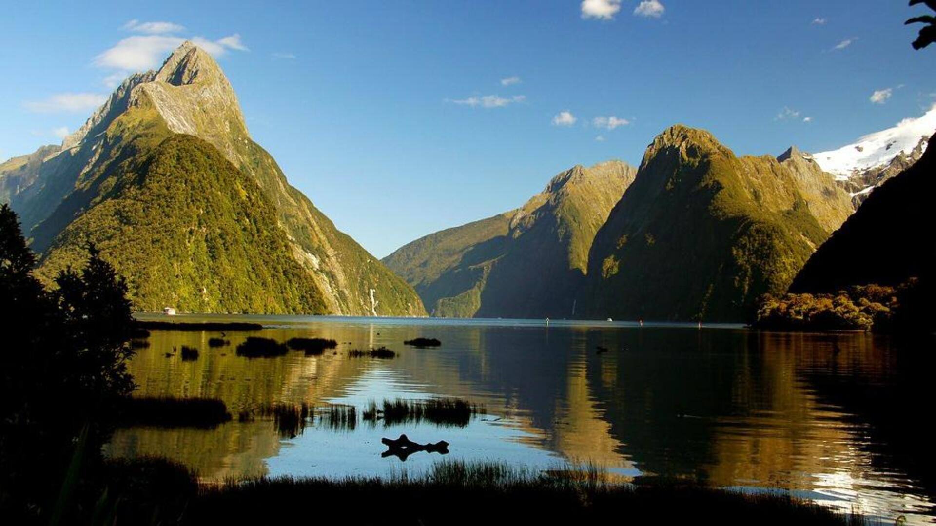 Menjelajahi keindahan Fiordland National Park, Selandia Baru