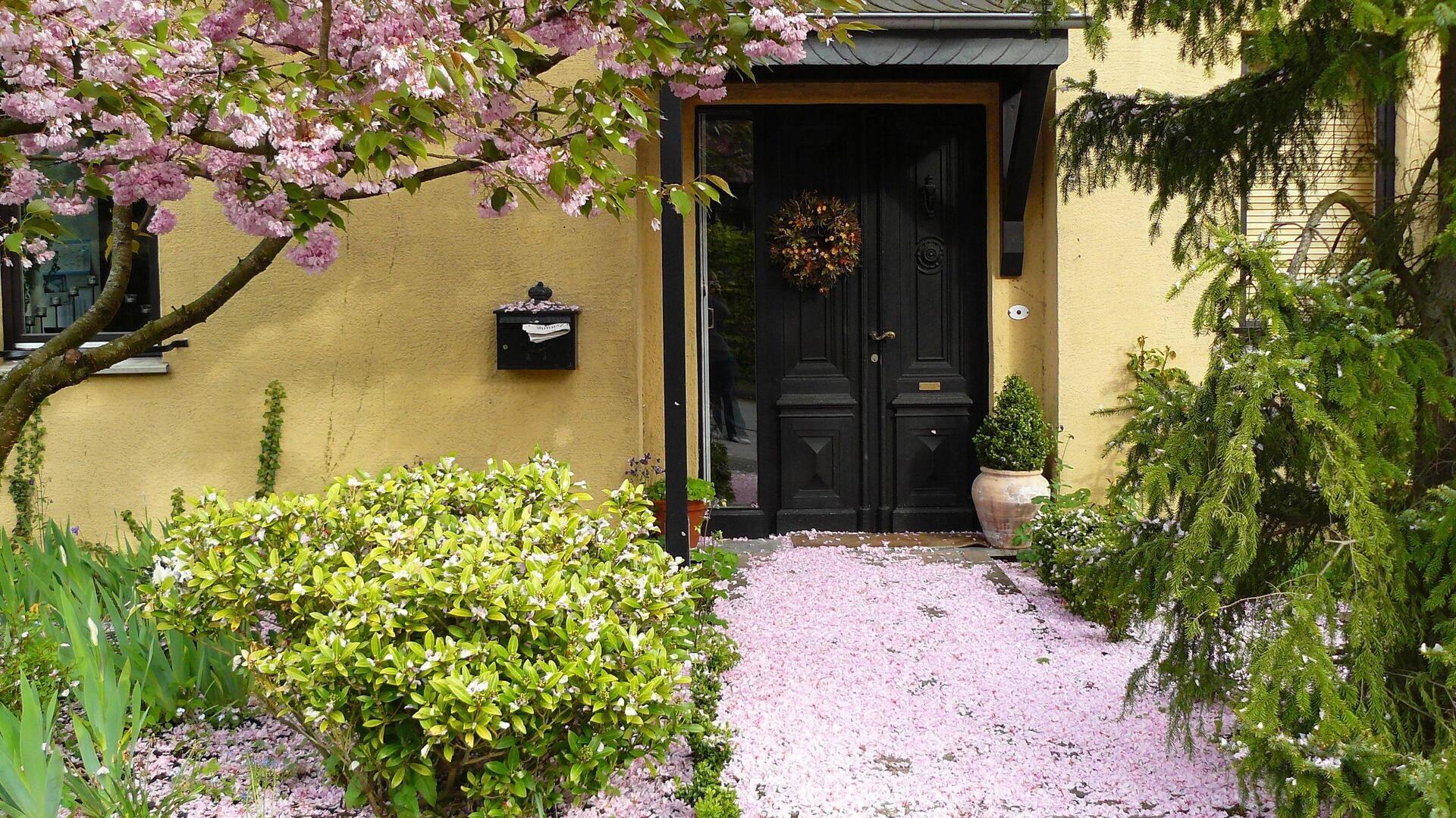Manfaat paparan sinar matahari untuk kebun rumah