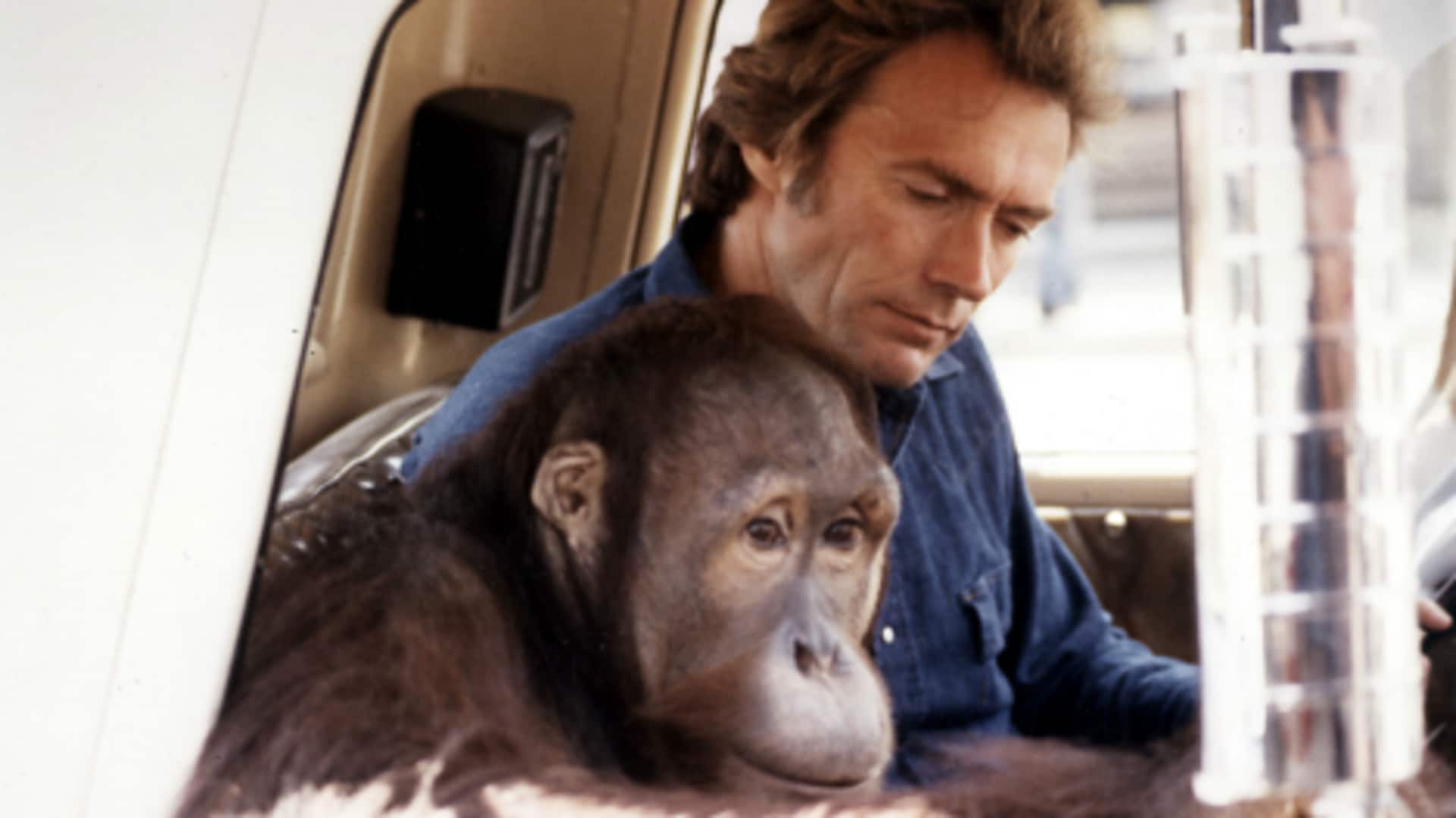 Satwa Indonesia tak terduga di film Hollywood