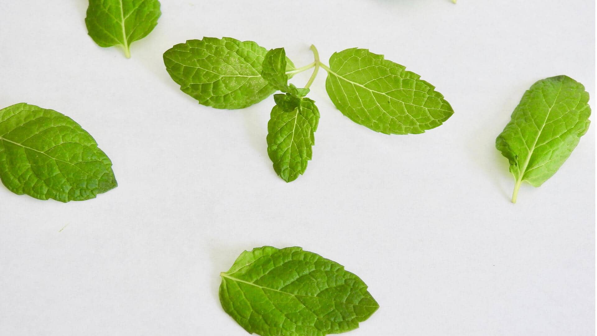Simpan daun mint: Ciptakan penyegar udara alami yang menyegarkan
