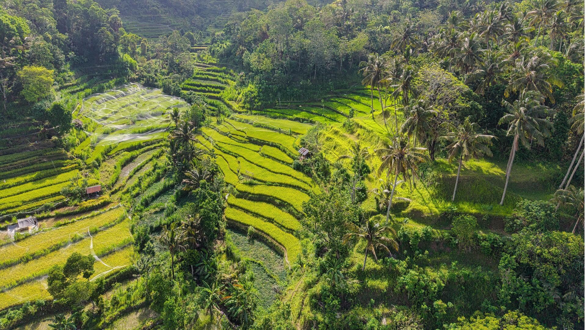 Penemuan Lingkungan dari Budaya Tradisional Dunia