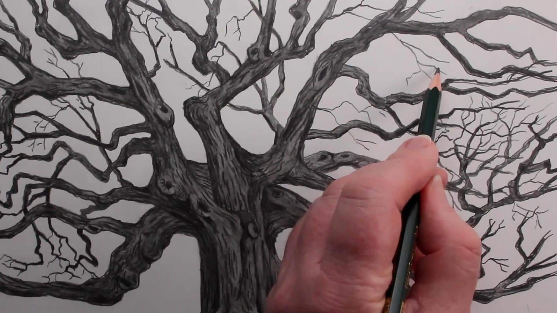 Lima Cara Terbaik dalam Menggambar Batang Pohon Tua 