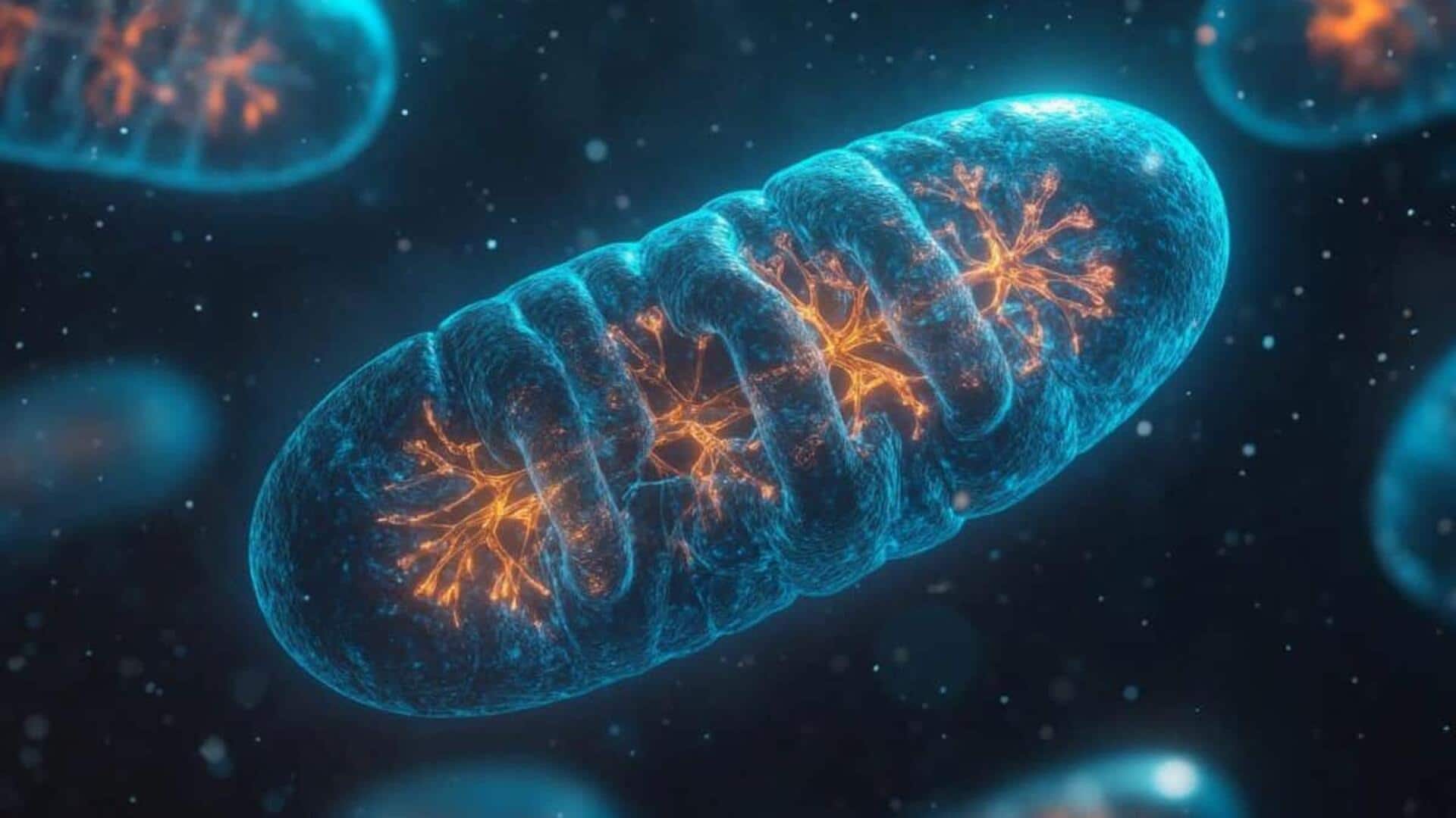 Menjelajahi Biogenesis Mitokondria: Rahasia Mikroskopis Sel Manusia