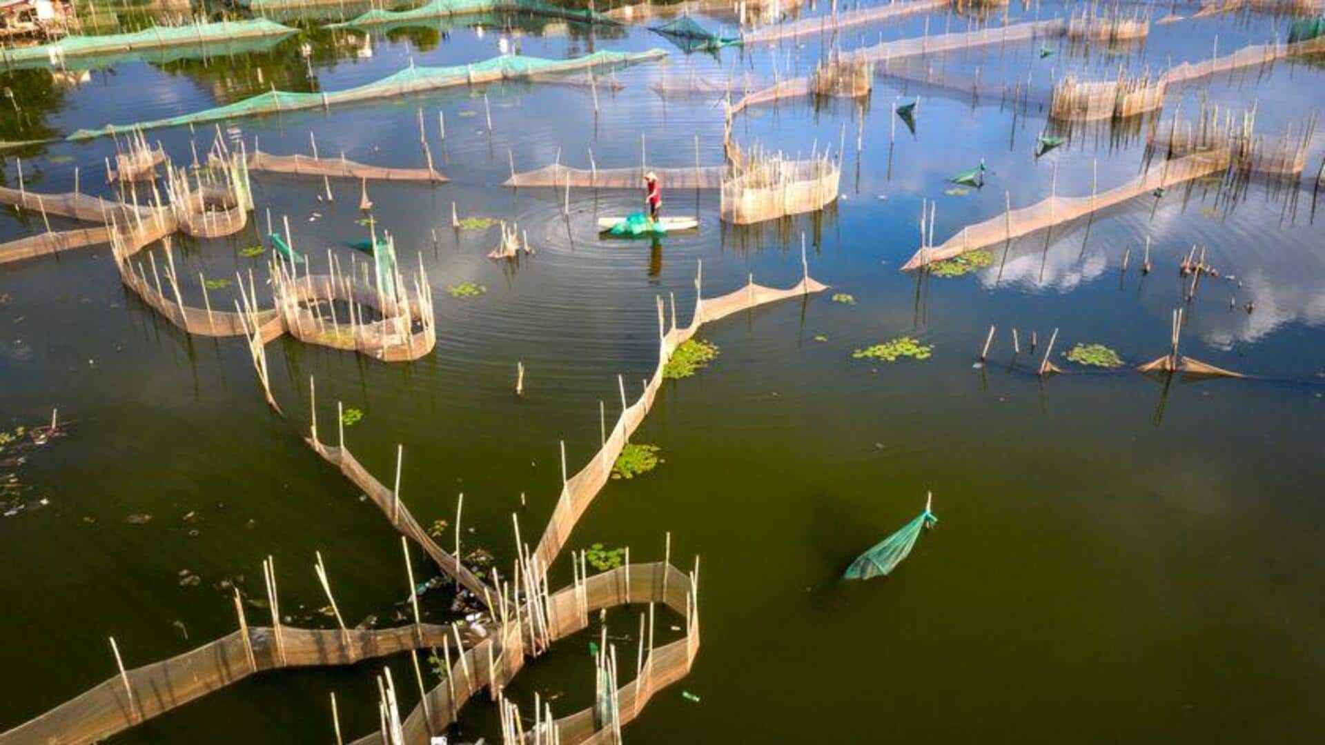 Meningkatkan Akuakultur Global dengan Pakan Ikan Biodegradable