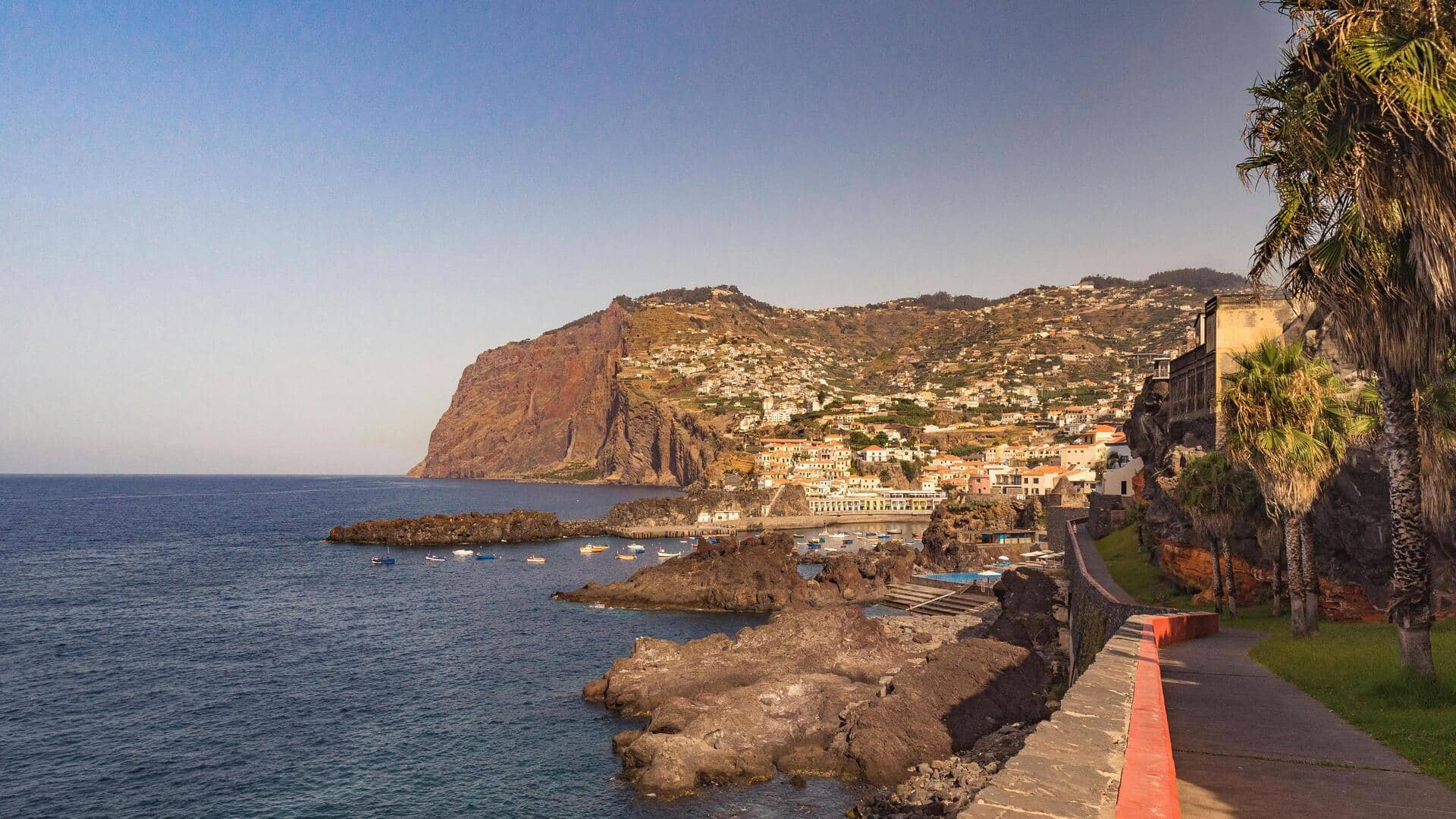 Menikmati Festival Anggrek yang Meriah di Madeira, Portugal