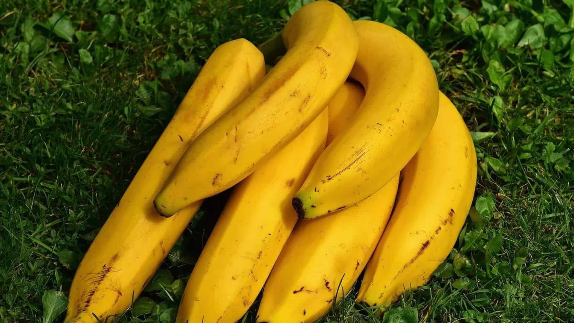 Resep Pisang Lezat yang Mengejutkan Berbahan Dasar Pisang Raja Resep Pisang Lezat yang Mengejutkan Berbahan Dasar Pisang Raja