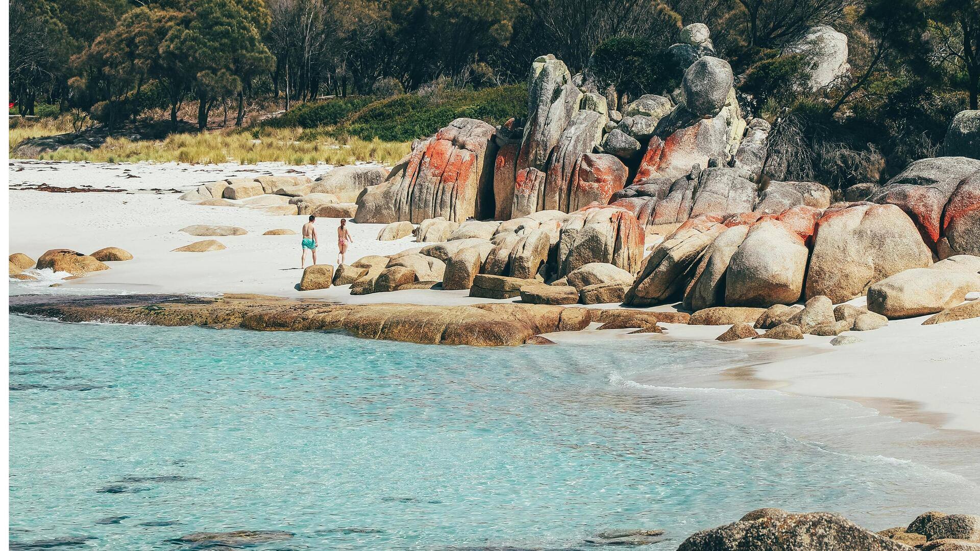 Menjelajahi Keindahan Bay of Fires, Tasmania, Australia