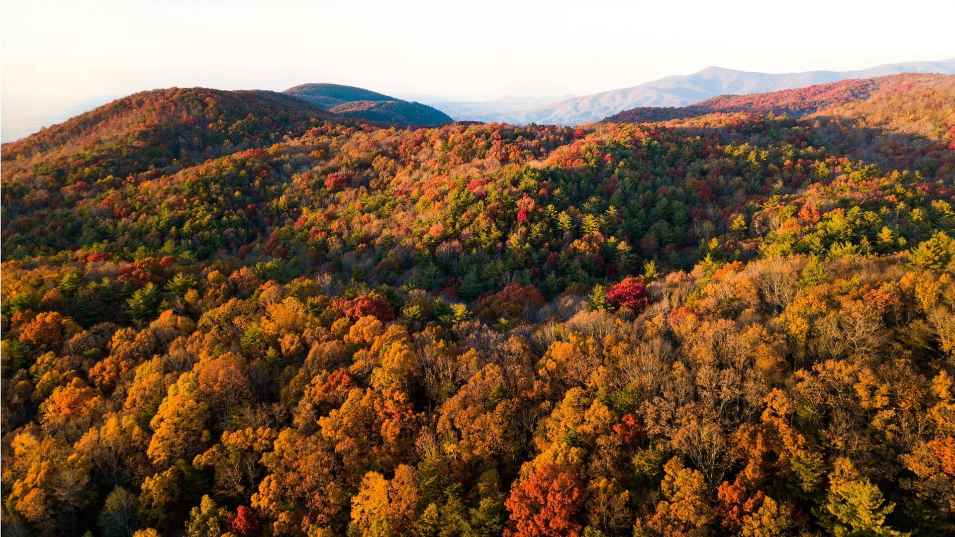 Menjelajahi Keindahan Tazewell County, Virginia, AS