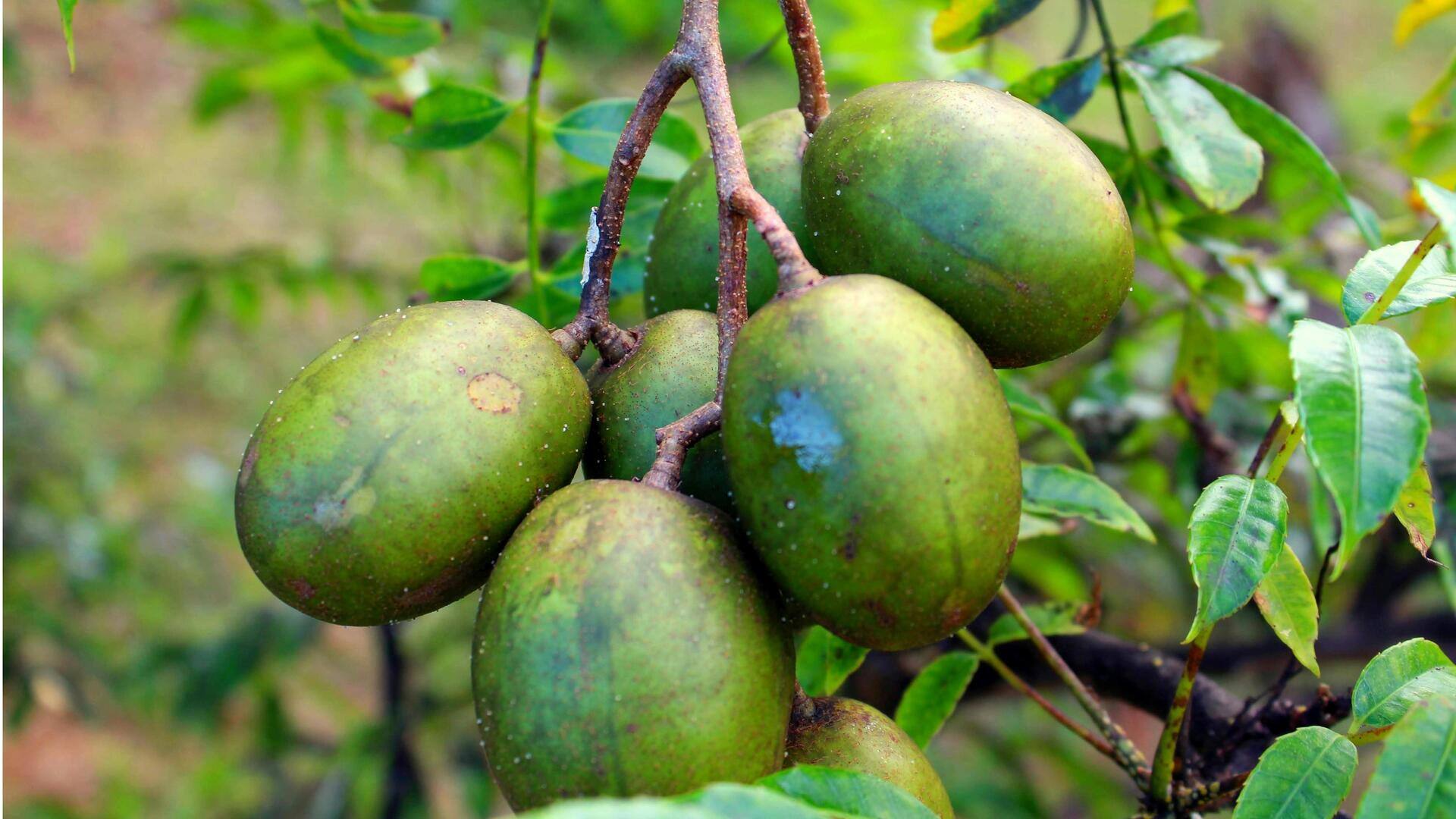 Manfaat Lezat Kedondong yang Kaya Vitamin C