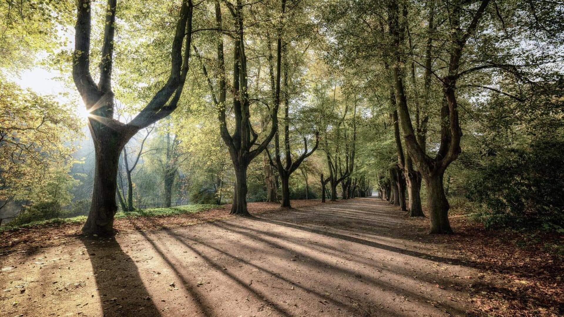 Menciptakan Potret Bayangan yang Memukau