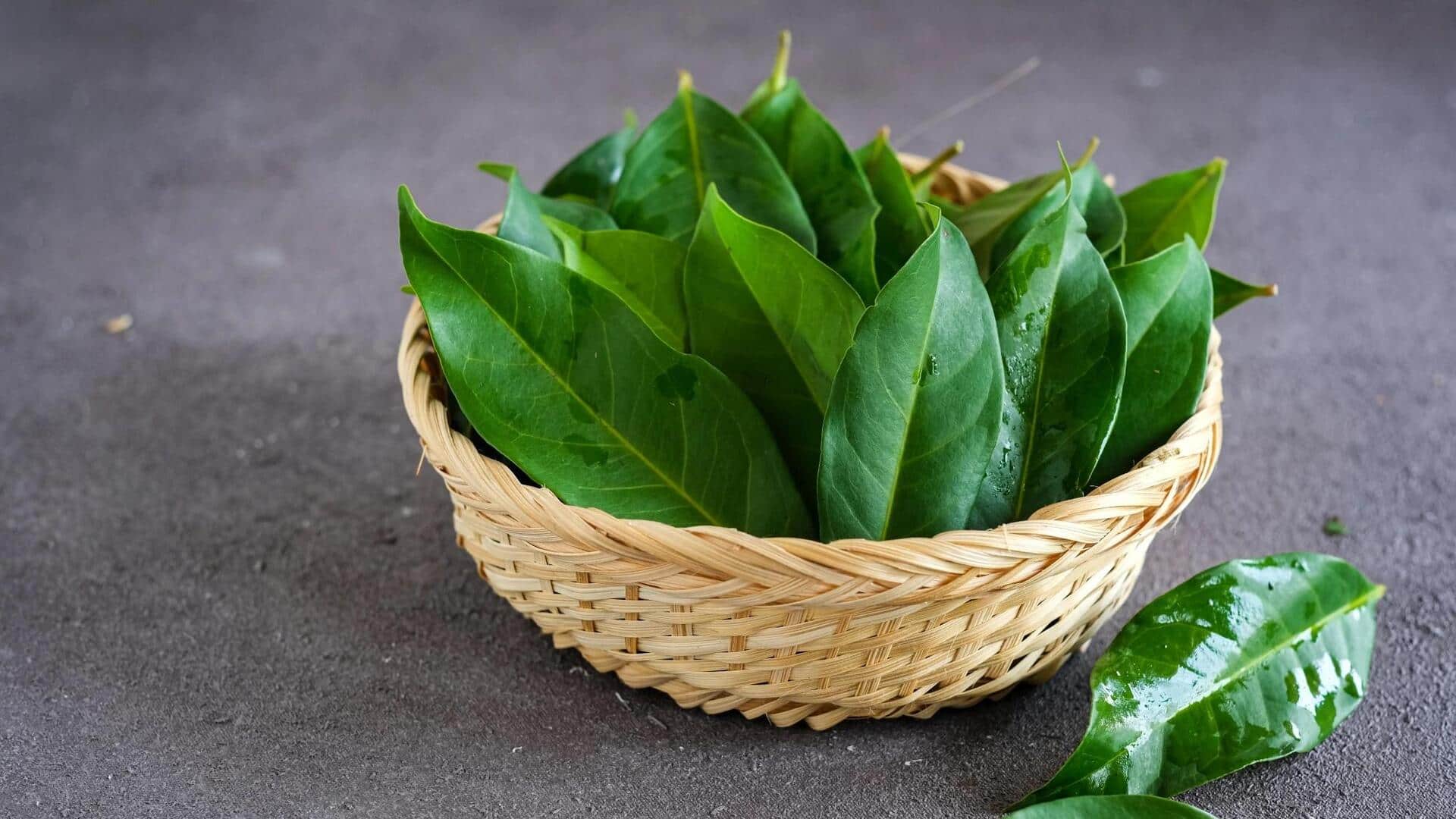 Menjelajahi Rempah Vegetarian Unik dalam Kuliner Indonesia
