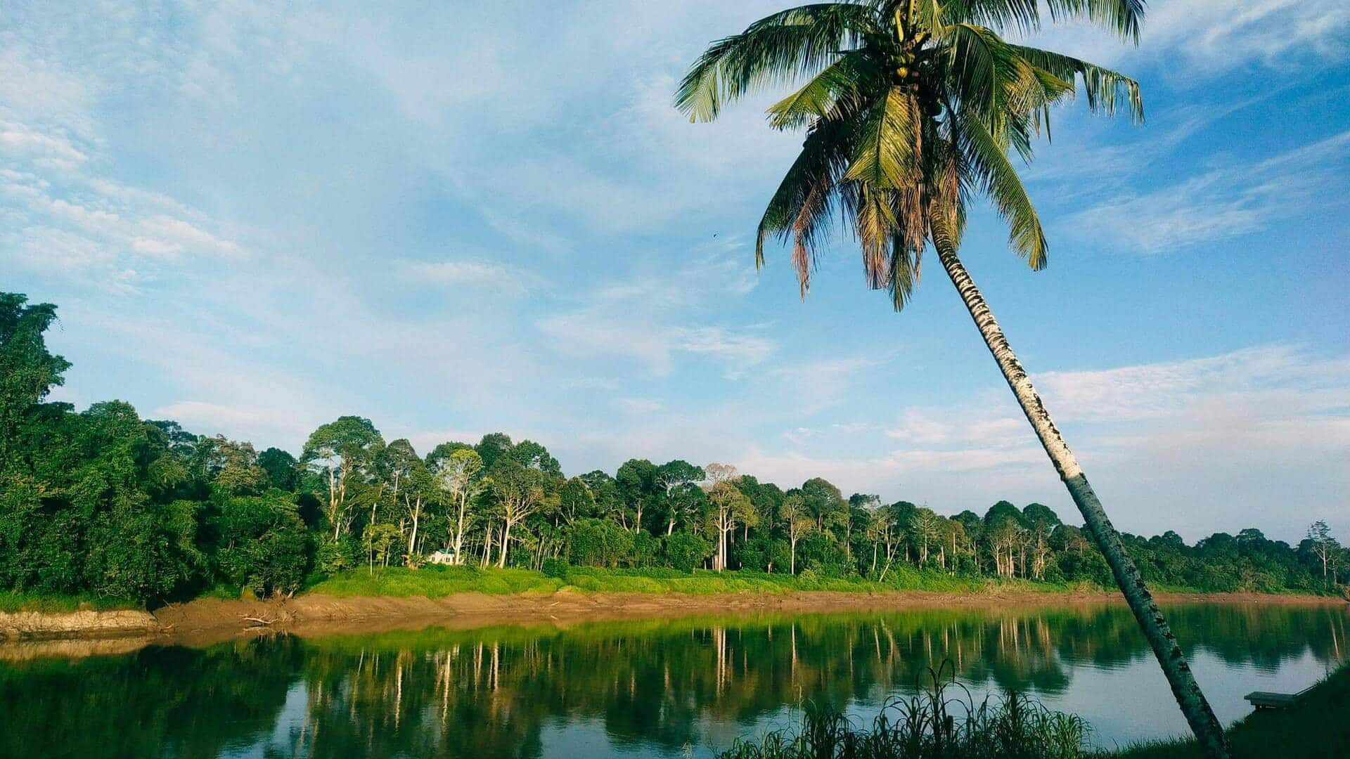 Menjelajahi Keajaiban Gua Mulu, Malaysia