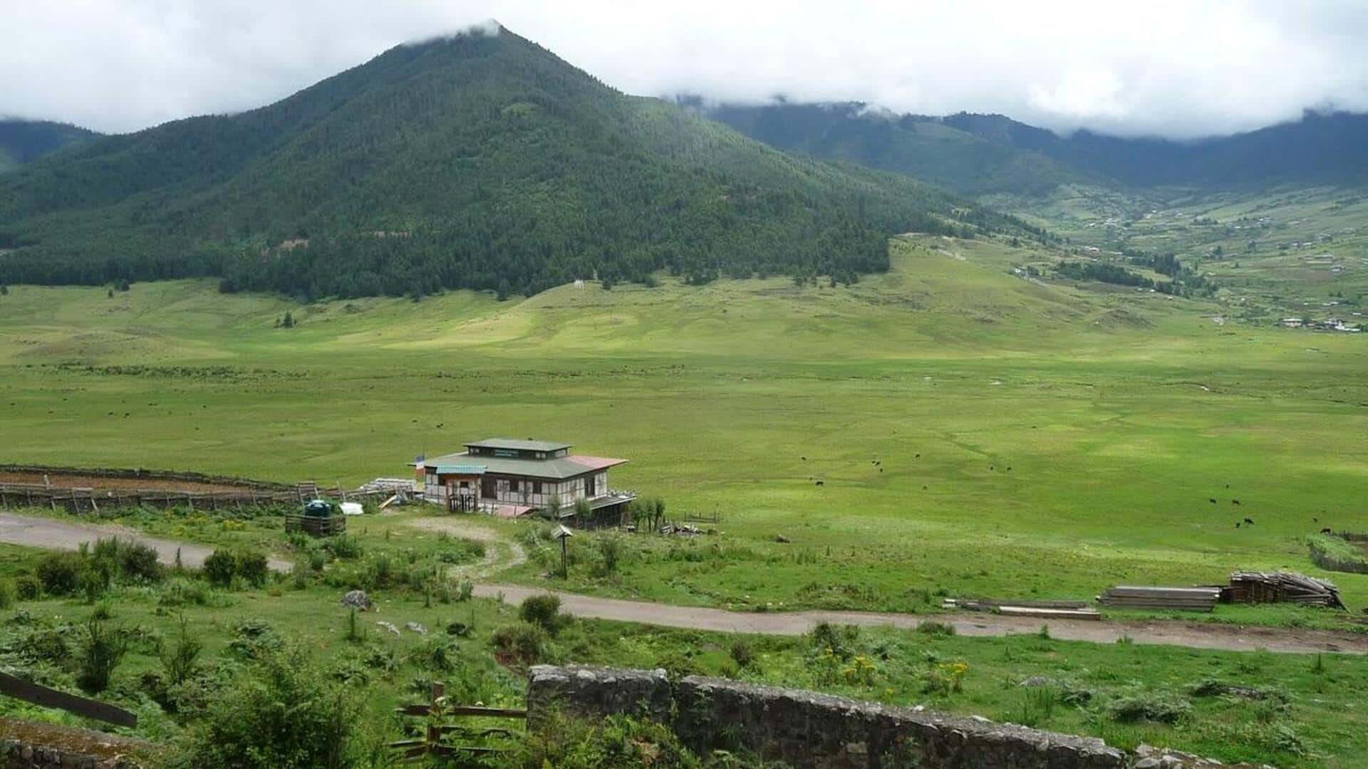 Lima Retret Hutan Rahasia Yang Bisa Anda Kunjungi Di Bhutan