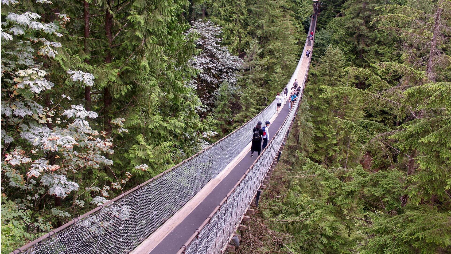 Lima Jembatan Gantung Ikonik di Kanada dengan Pemandangan Menakjubkan