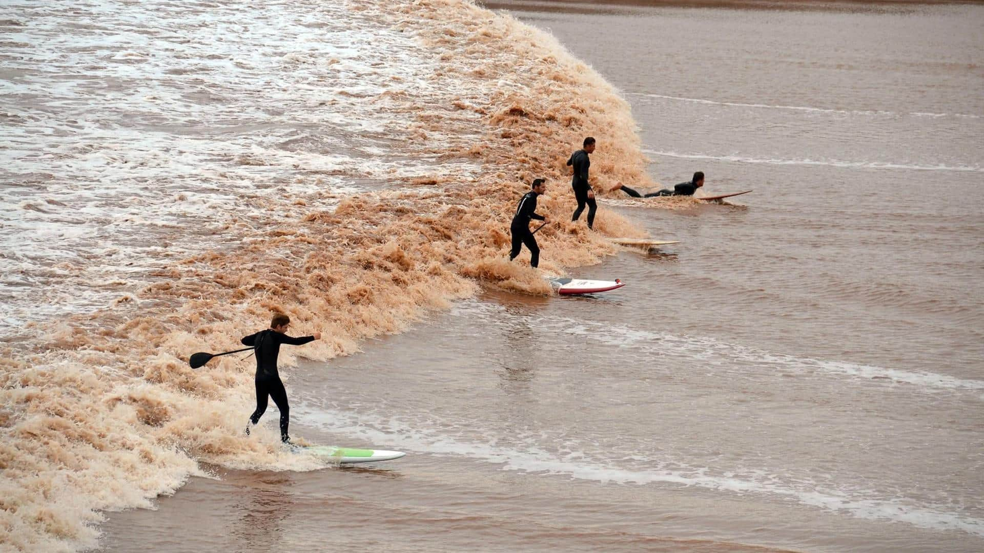 Berselancar di Gelombang Pasang Bay of Fundy