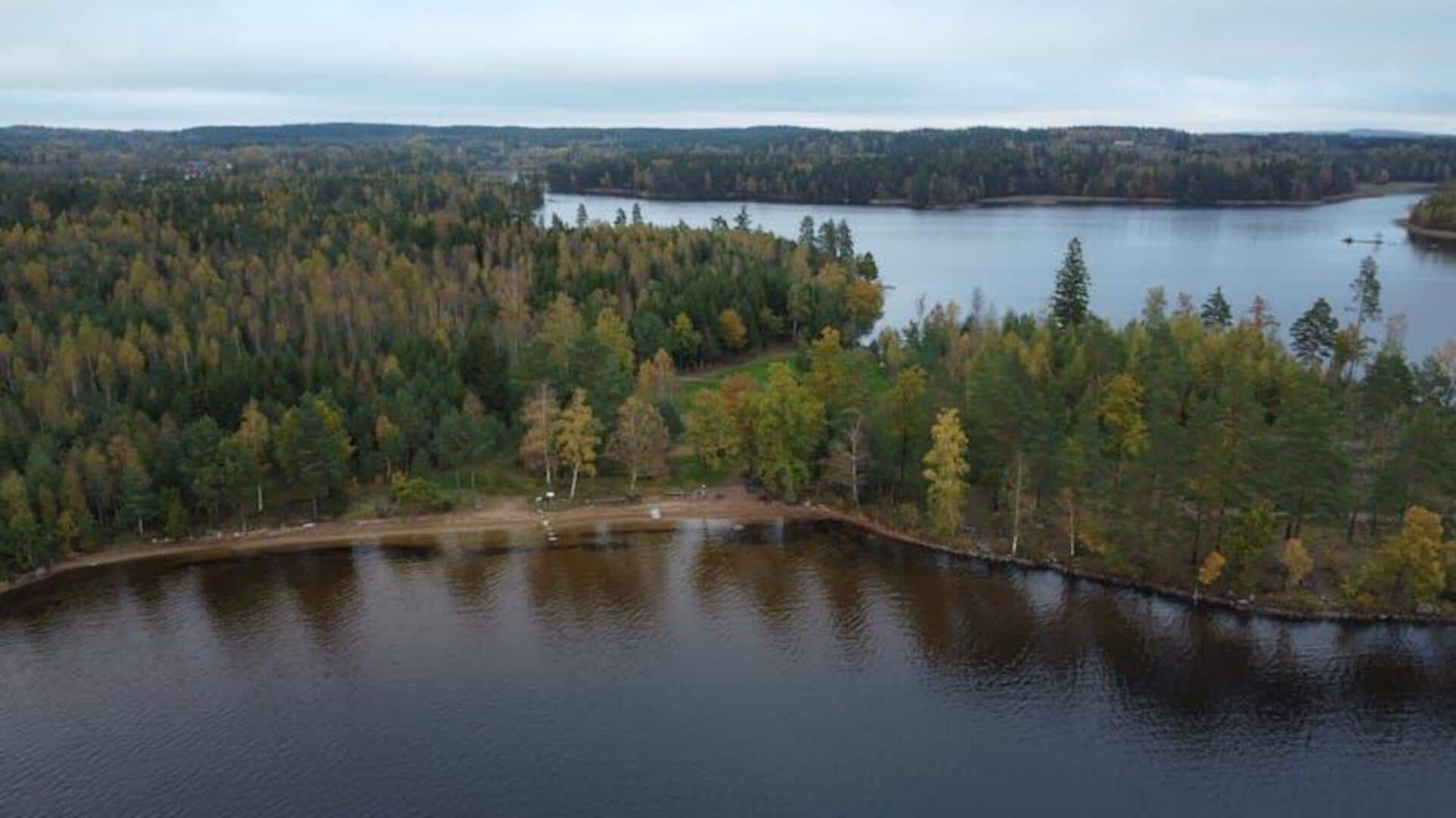 Menjelajahi Pengalaman Mandi Hutan di Swedia