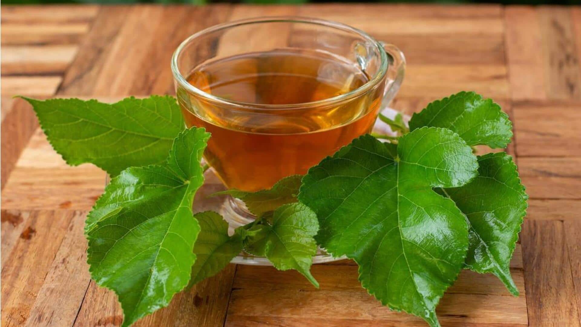 5 Cara Cerdas dalam Mengolah Daun Murbei