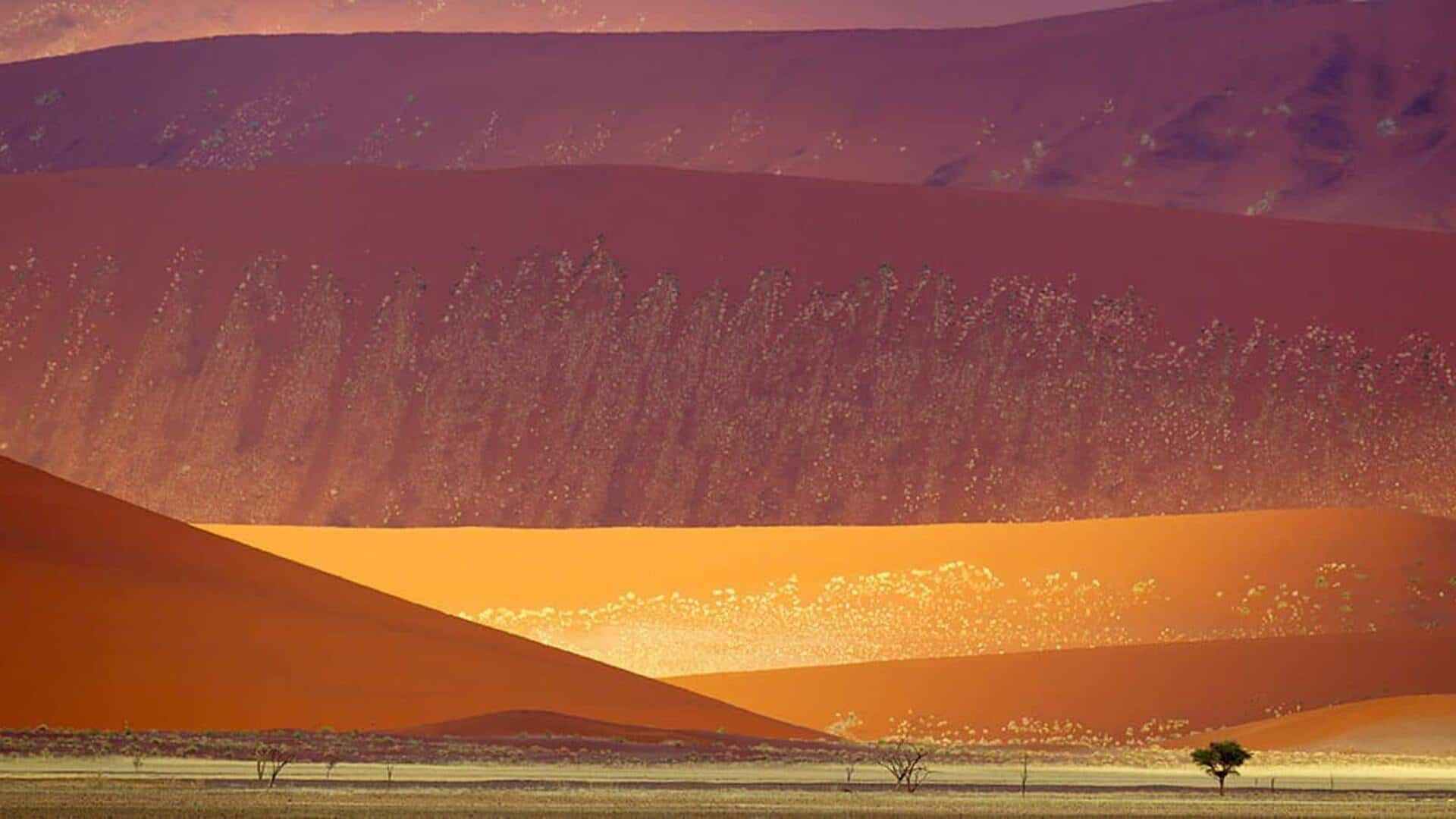 Mengungkap misteri Namib-Naukluft, Namibia