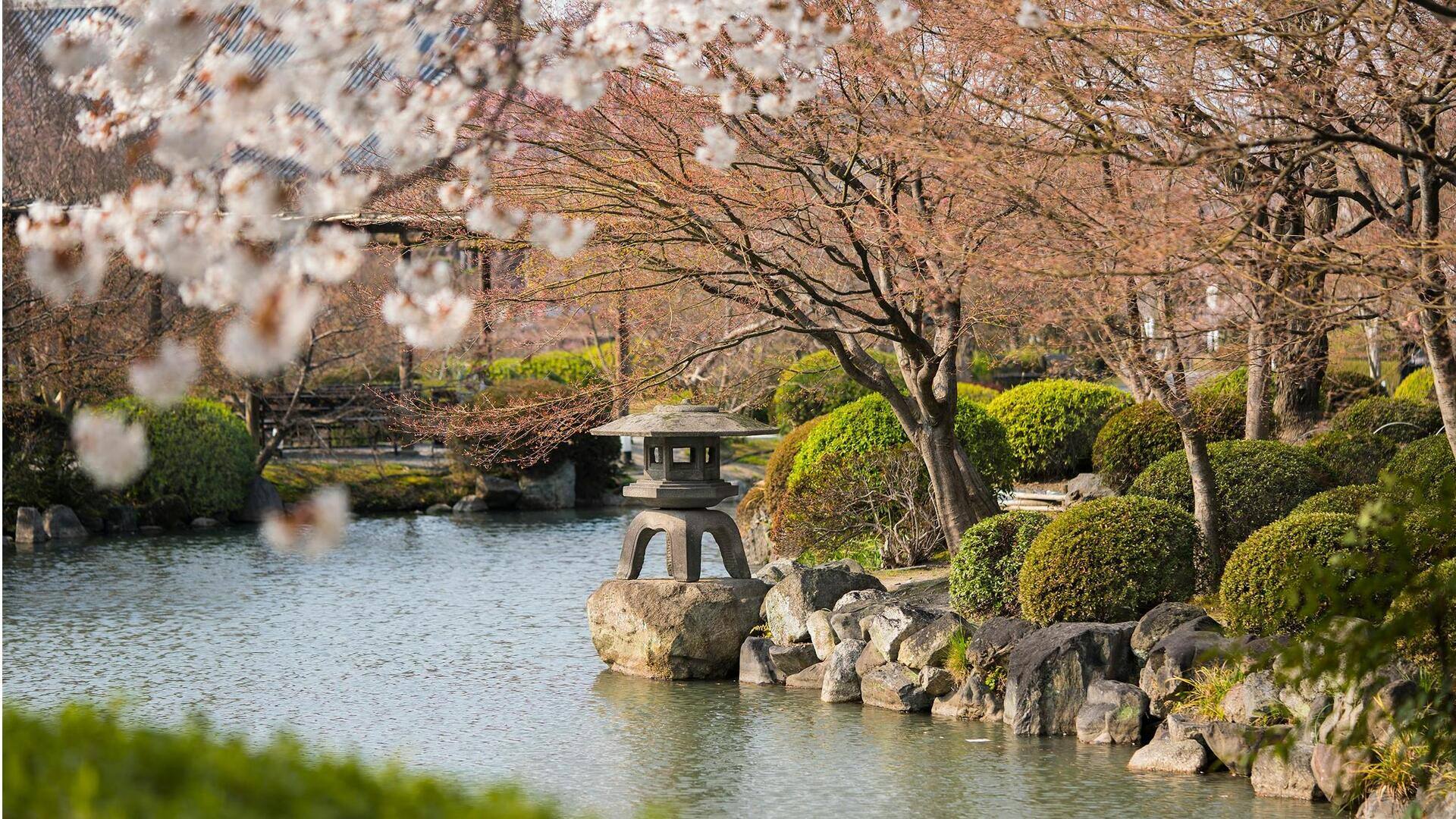 Temukan Kyoto: Lima Taman Zen Tersembunyi