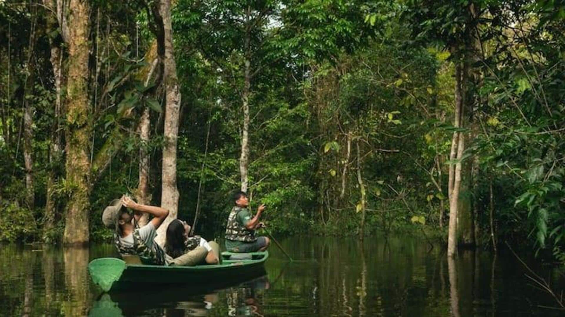 Mendayung Melintasi Hutan Hujan Amazon, Brasil