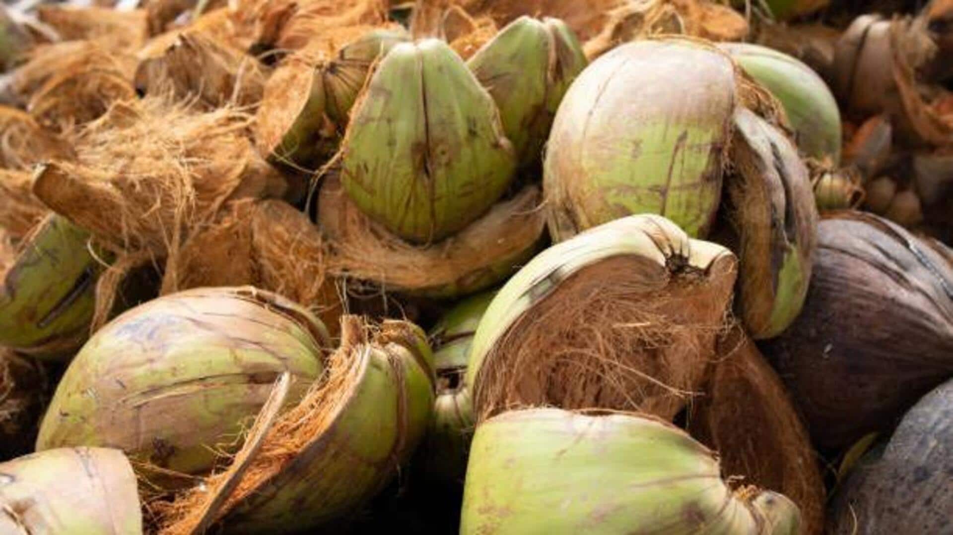 Penggunaan tak terduga sabut kelapa untuk perbaikan rumah