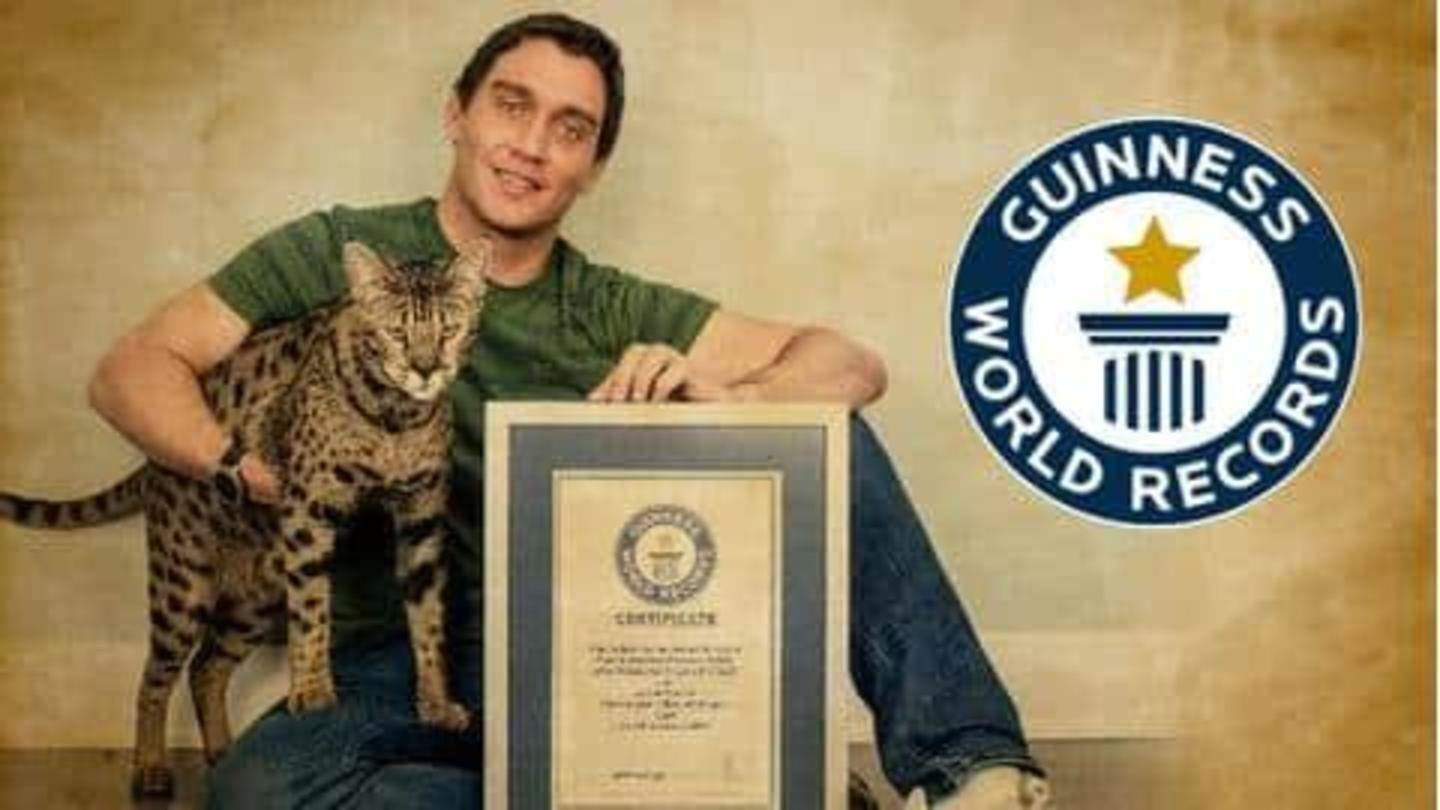 Guinness World Record: Kucing sabana dinobatkan yang tertinggi di dunia