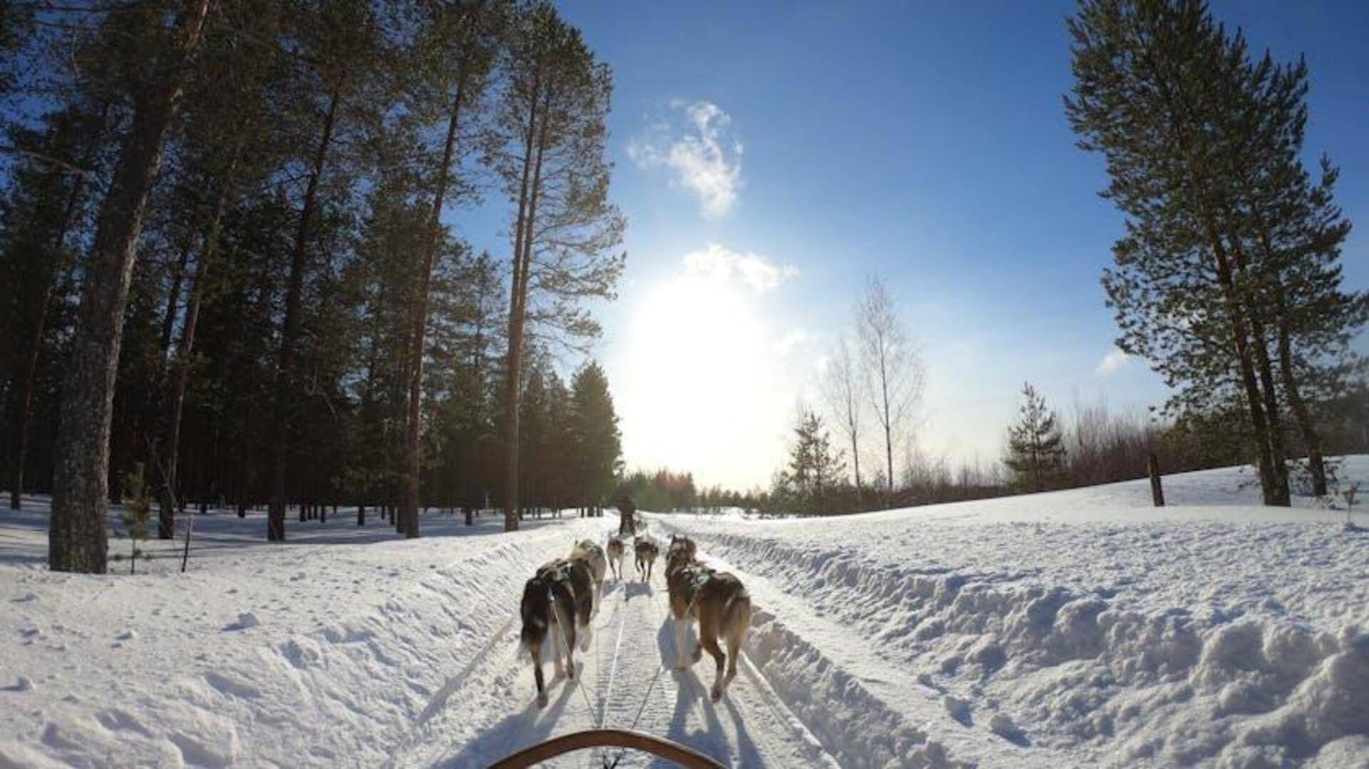 Menjelajahi Keajaiban Rovaniemi, Finlandia