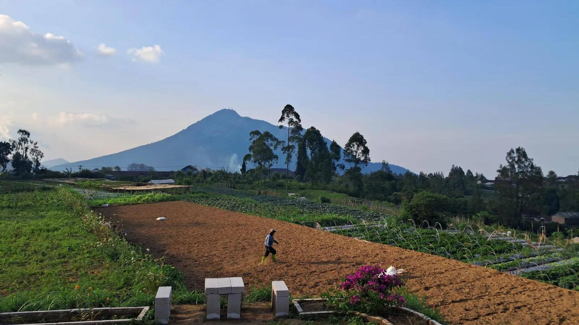 Tanah Vulkanik Indonesia sebagai Dasar untuk Pertanian yang Berkelanjutan Tanah Vulkanik Indonesia sebagai Dasar untuk Pertanian yang Berkelanjutan