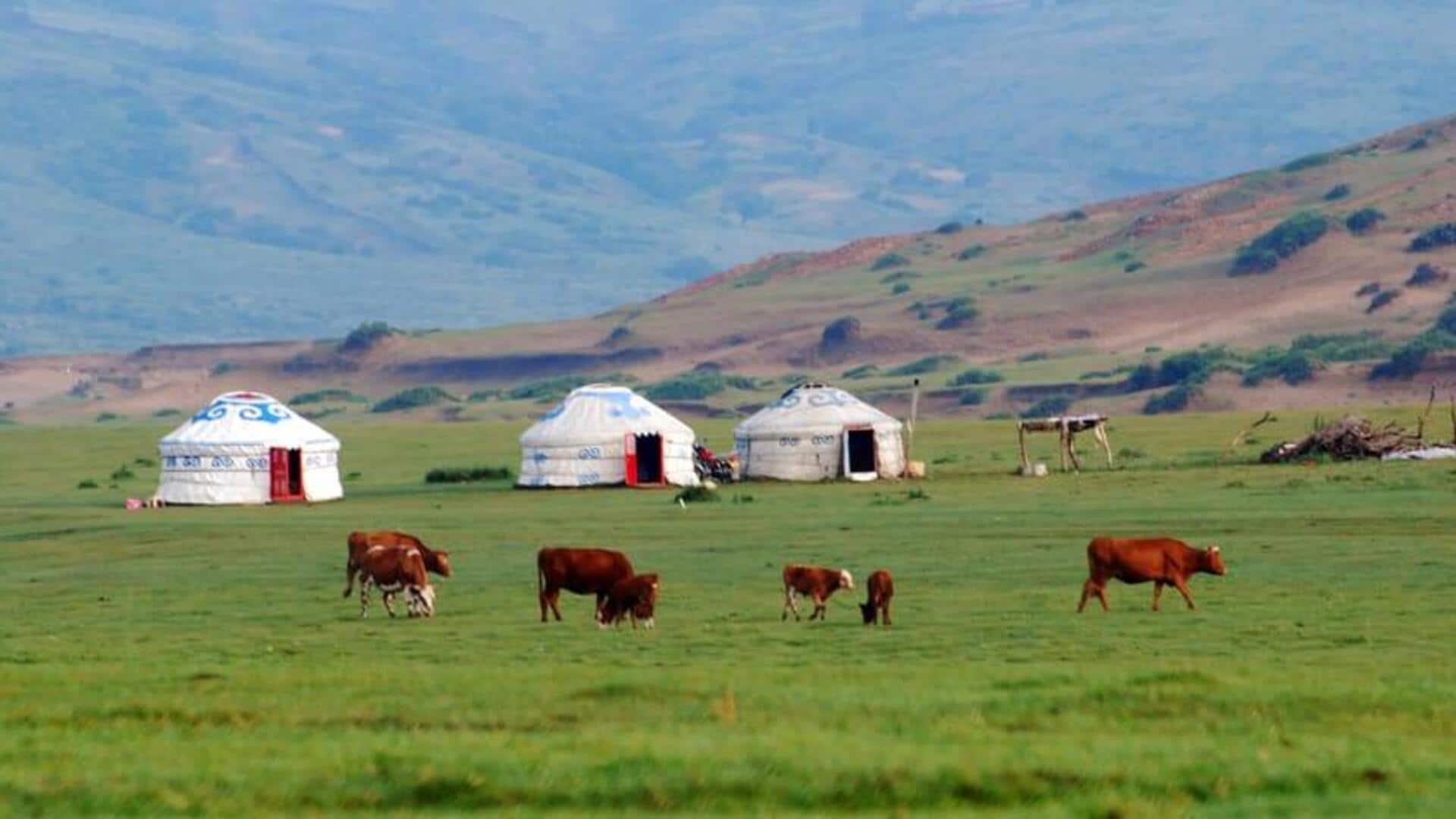 Menemukan Kedamaian di Pedesaan Mongolia