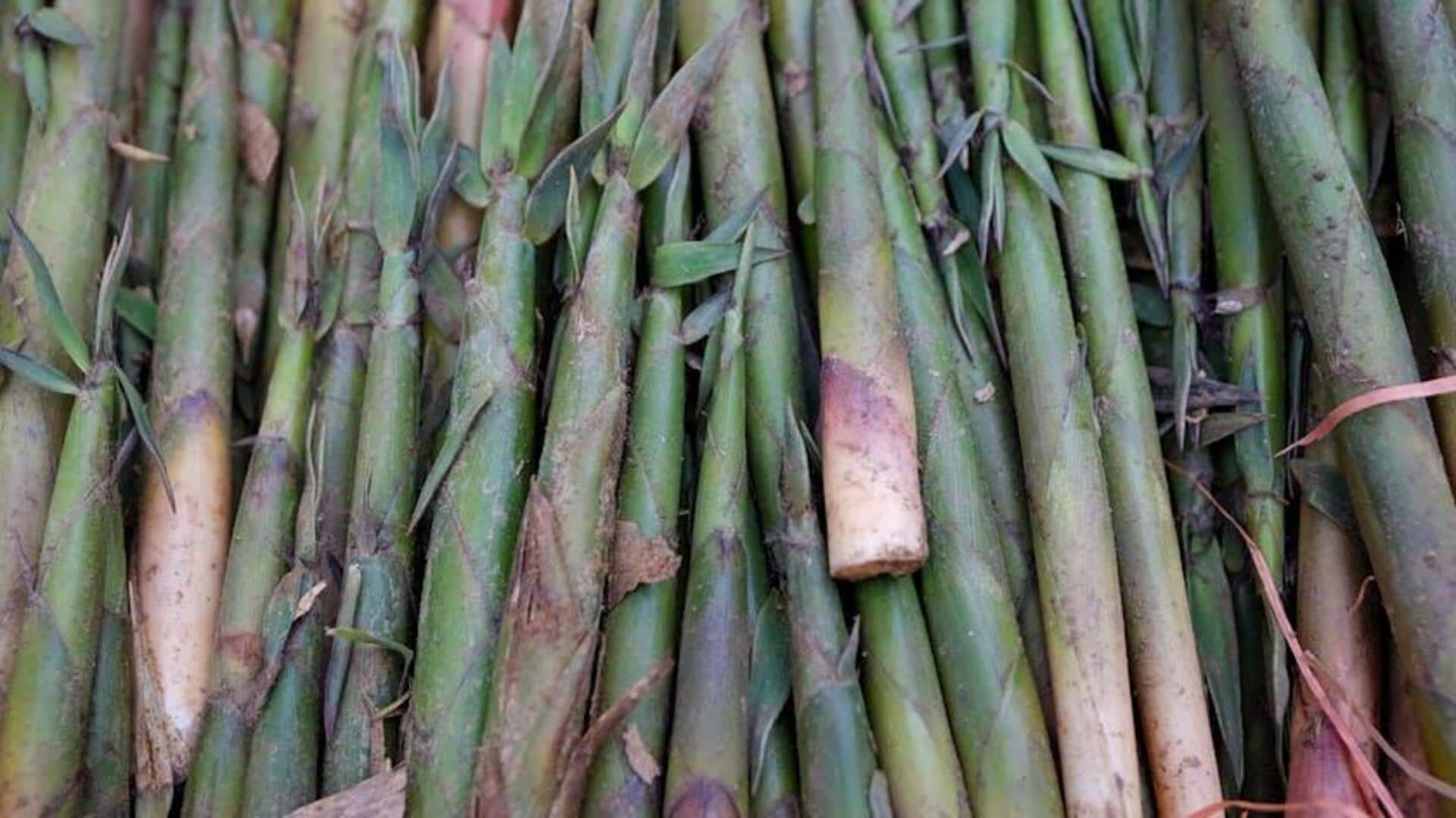 Lima Cara Inovatif Menggunakan Tunas Bambu dalam Berkebun