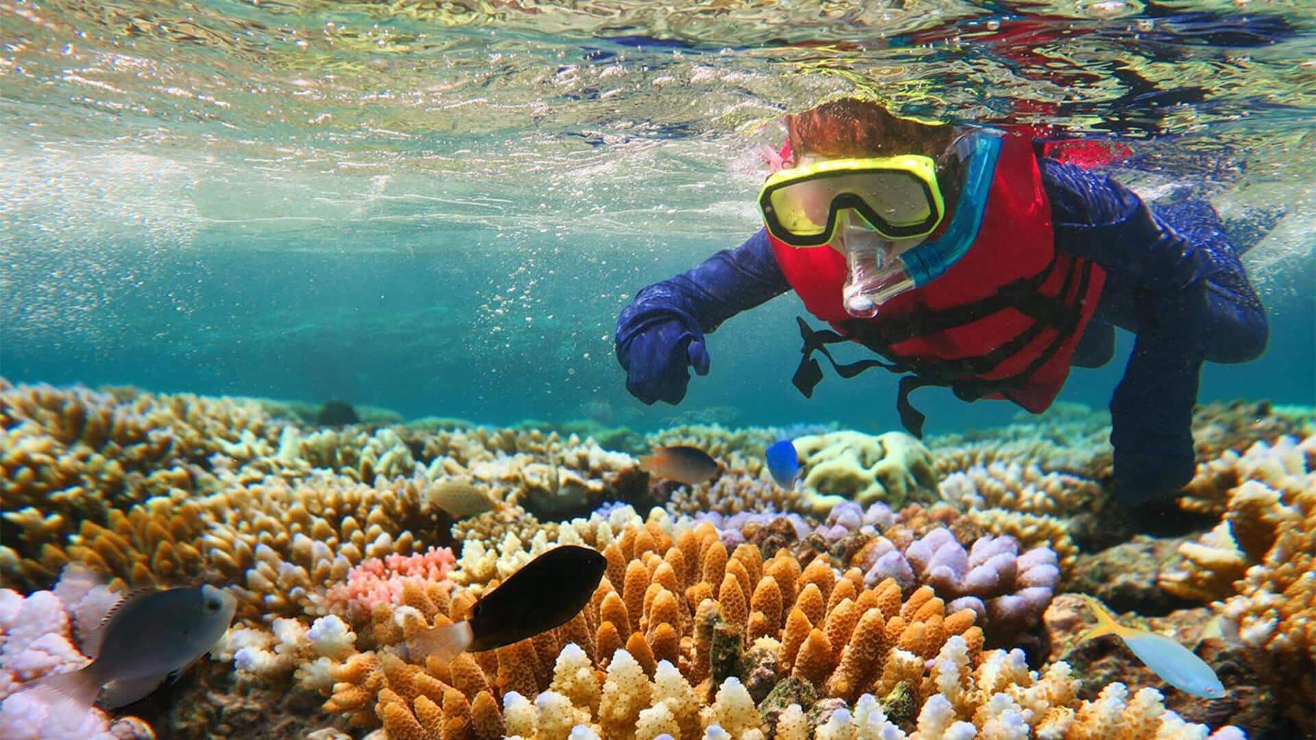 Sederet Item Wajib Untuk Snorkeling Di Great Barrier Reef