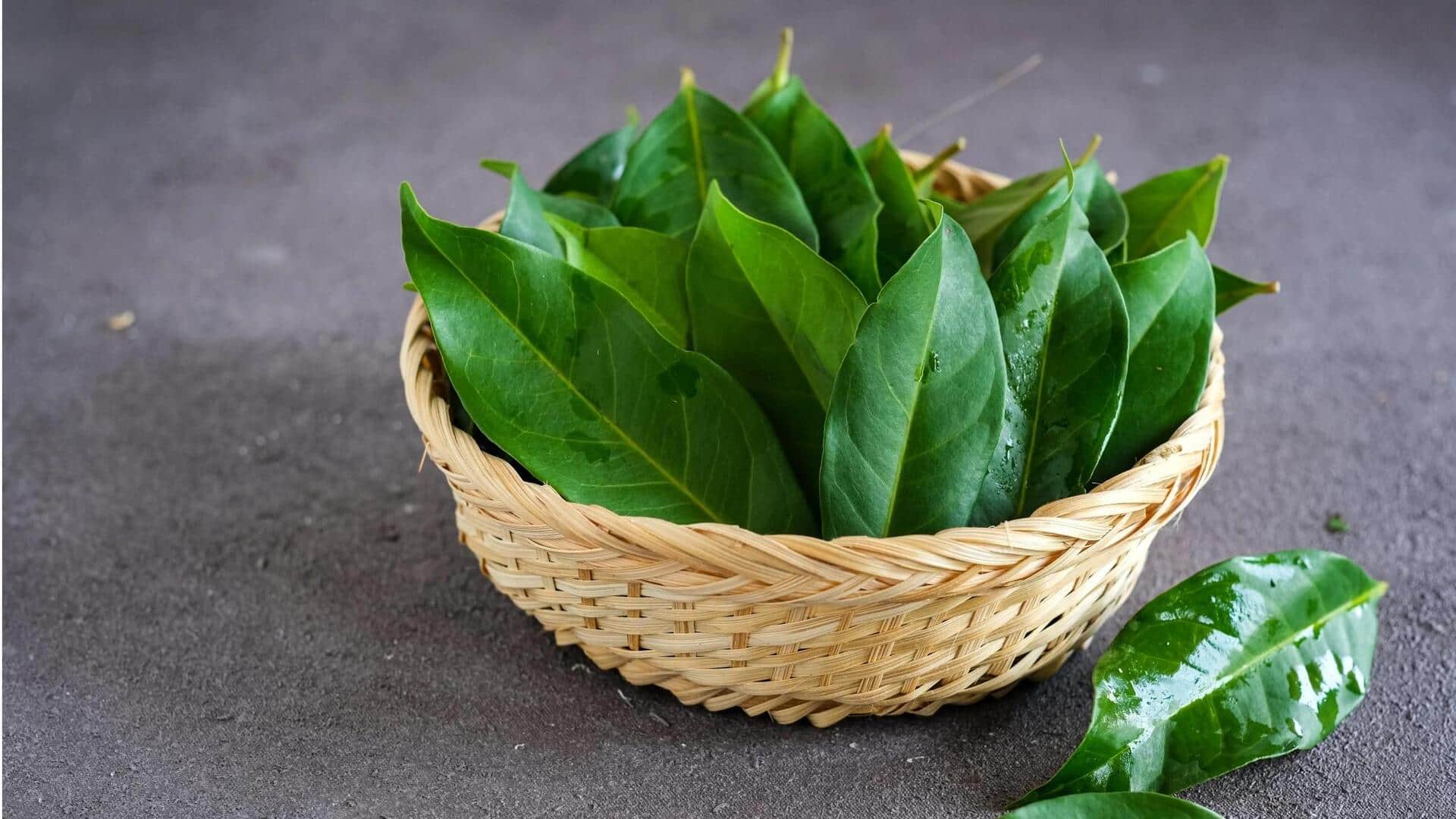 5 Herbal Indonesia yang Memperkaya Cita Rasa Hidangan Anda